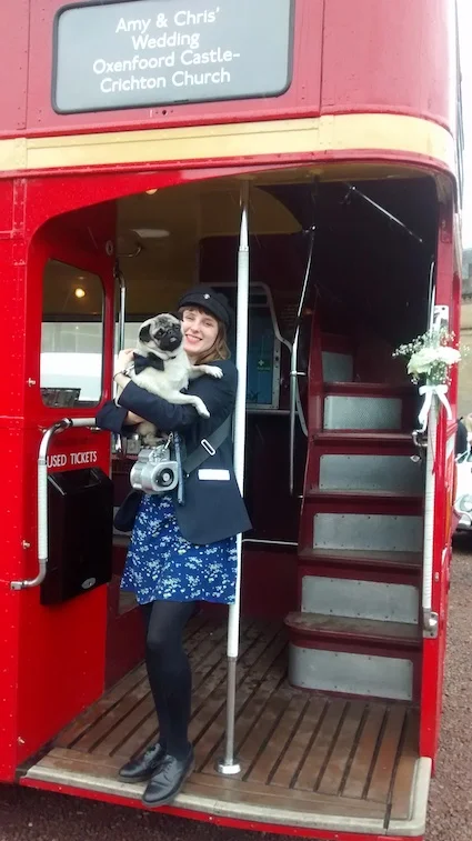 the red bus conductor pug.jpg