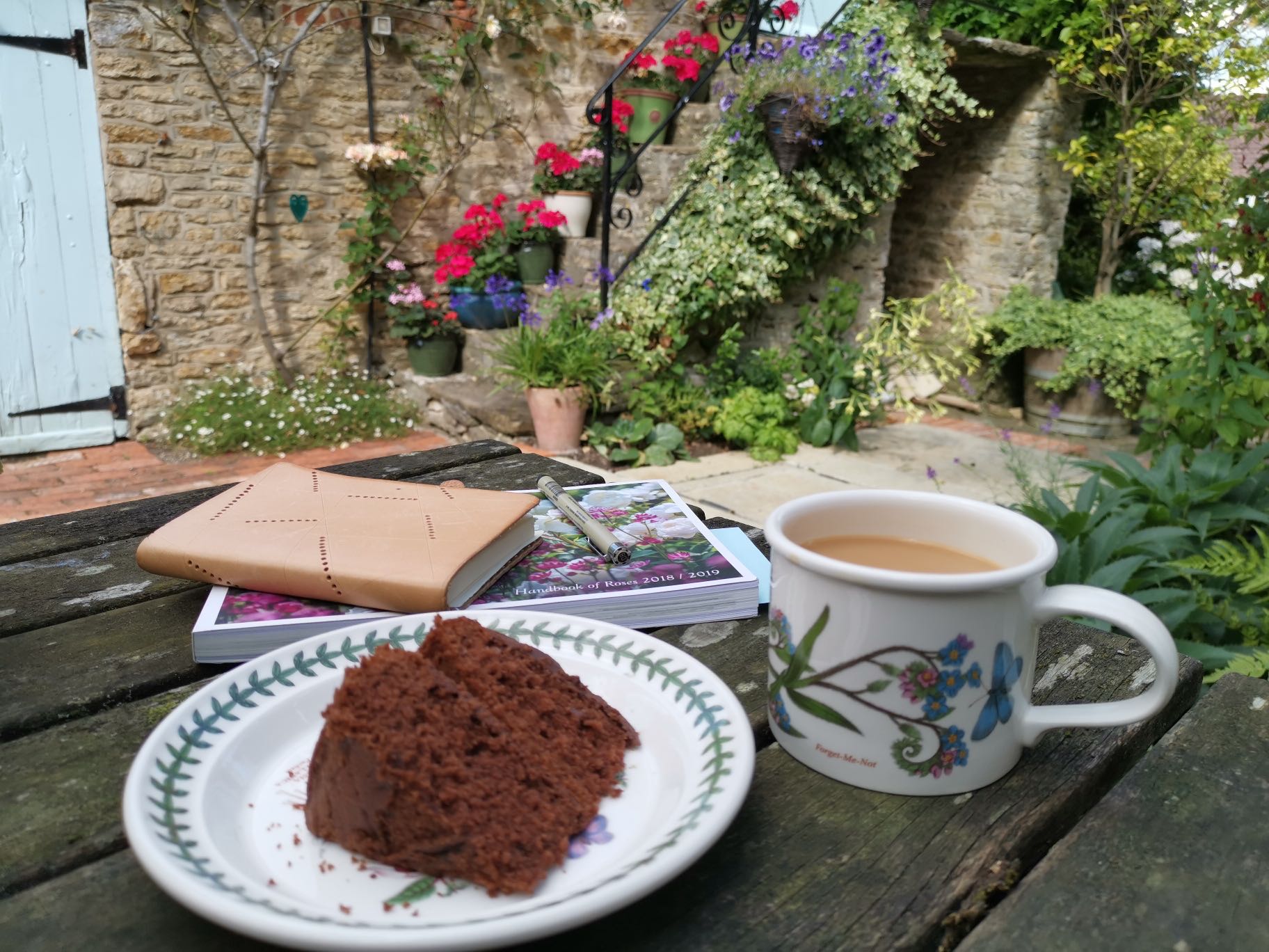 Reviewing Your Garden