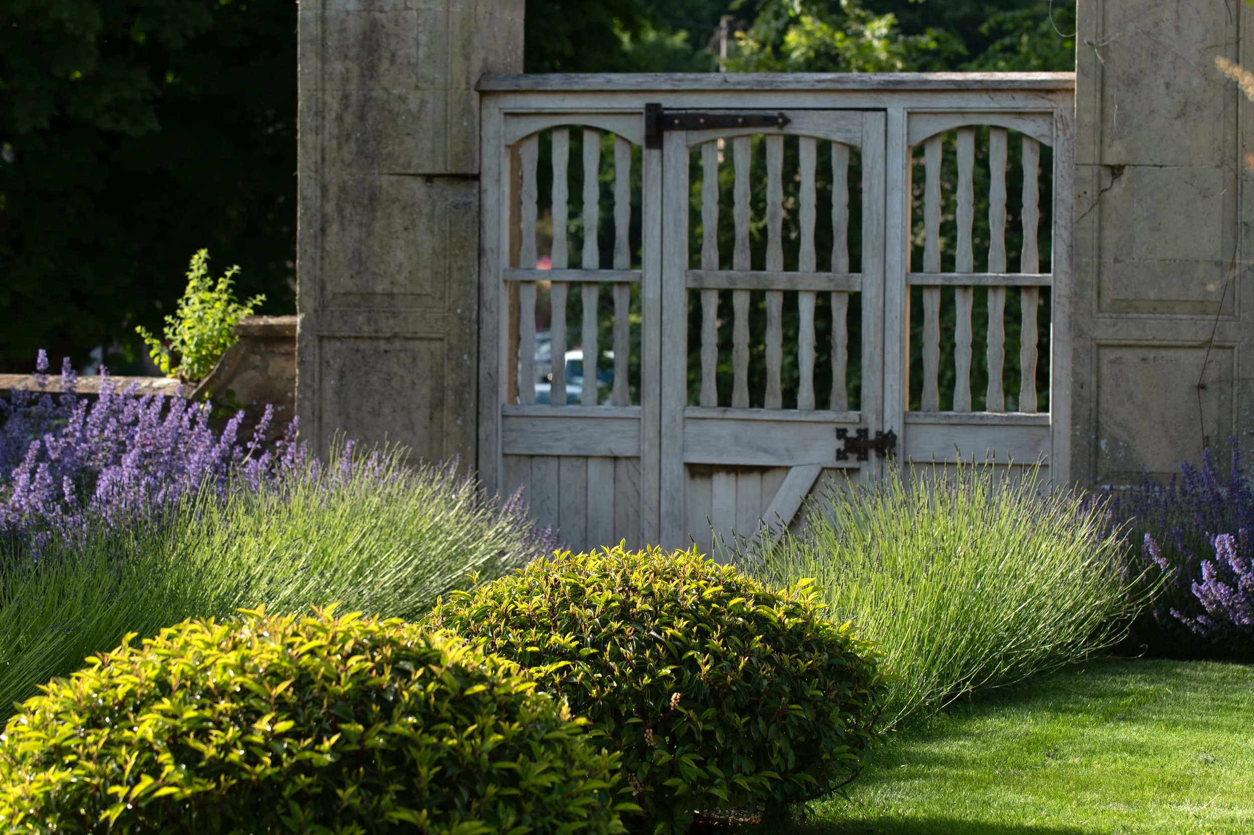FRONT GARDEN - WEB IMAGE .jpg