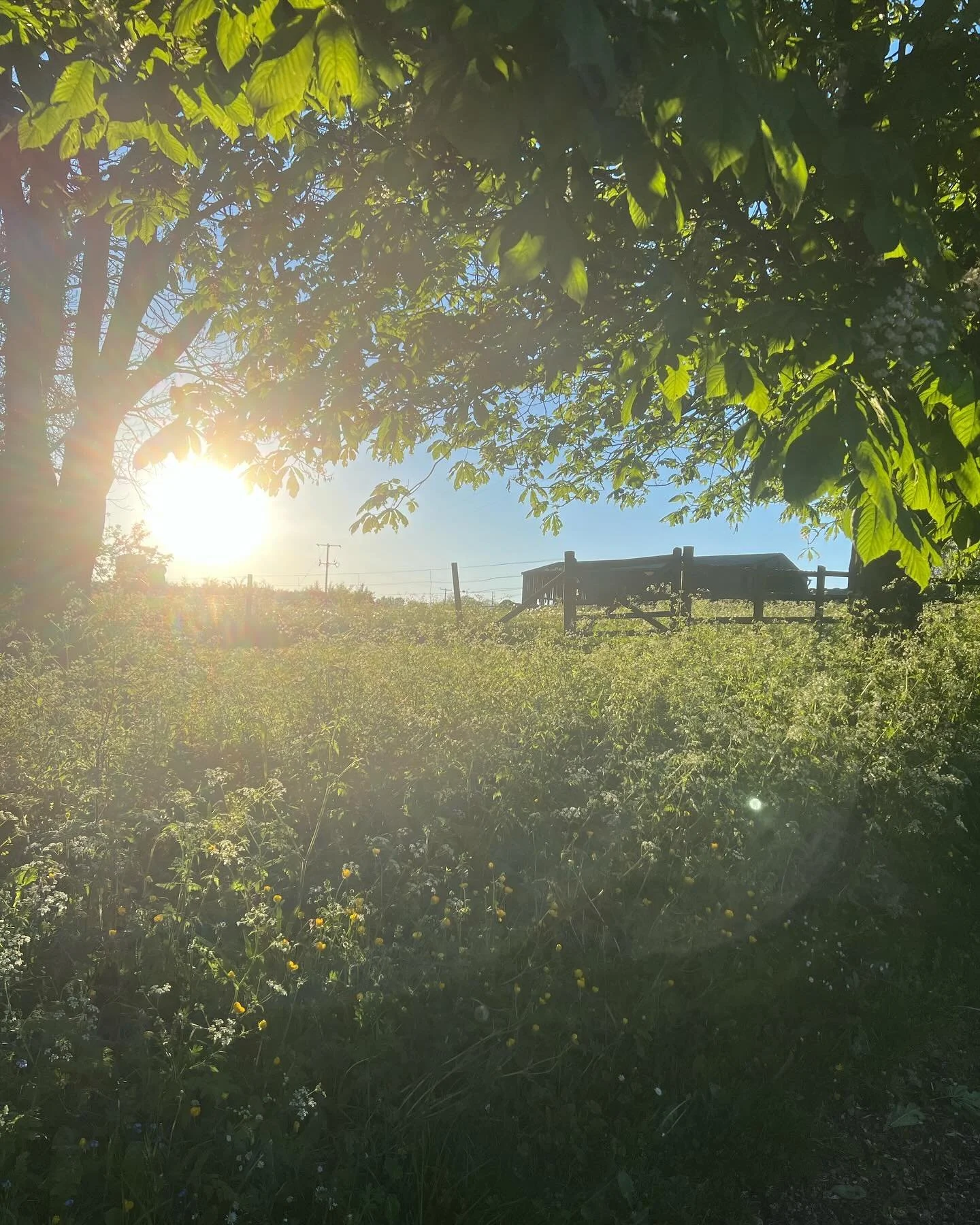 Please Mr Weatherman can we have some more days like this. 🙏🏼🙏🏼🙏🏼