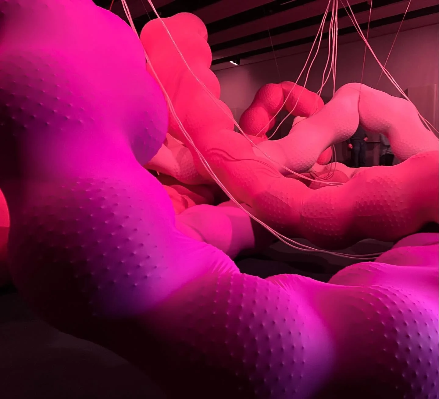 Colour, form and texture galore at the @hayward.gallery. Visual feast for the eyes. The kids loved it! #london #halfterm #haywardgallery