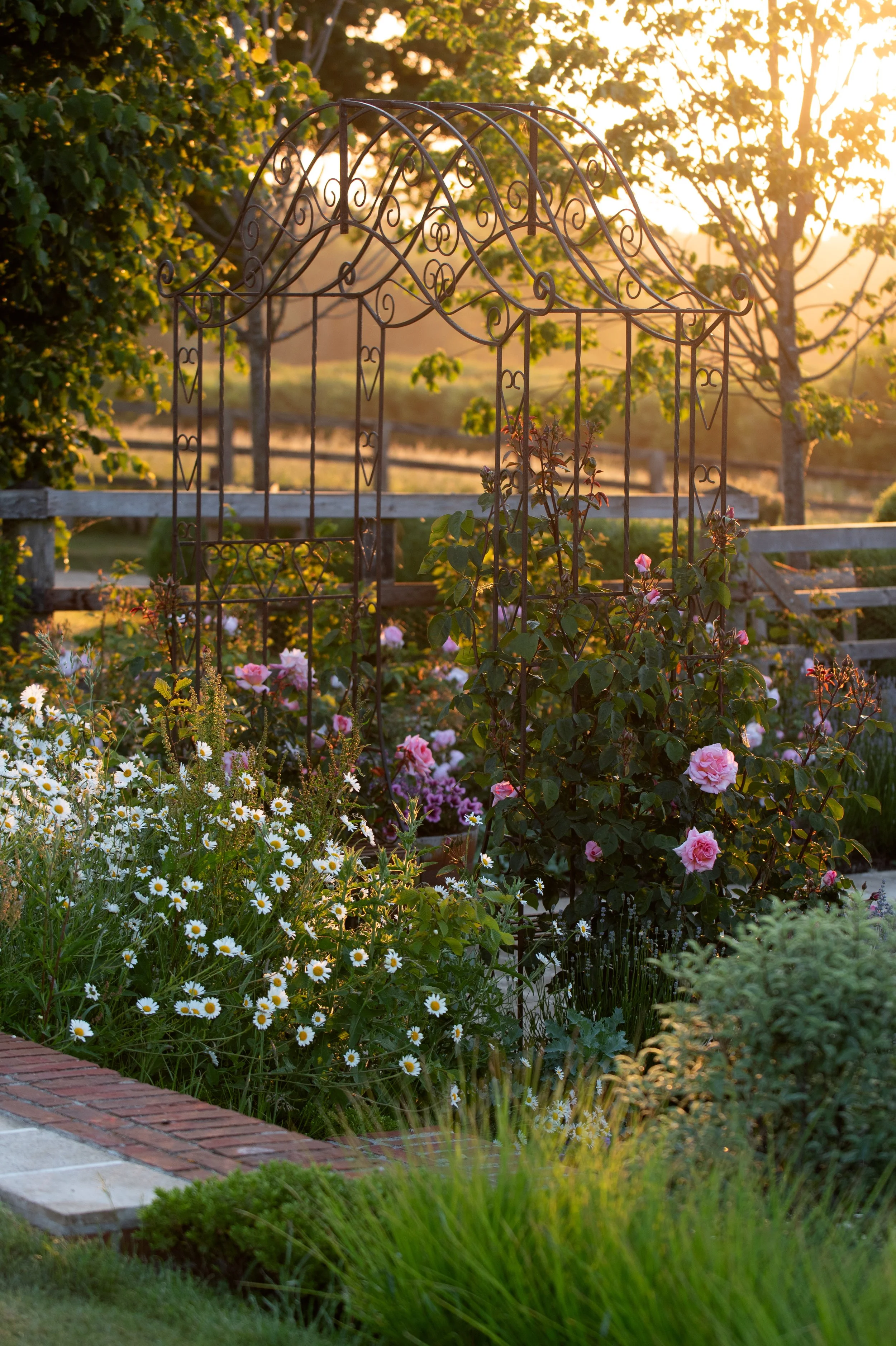 Rosa Compassion rambling over a vintage arch with meadows planting at the forefront. Garden Design by Vanessa Boal