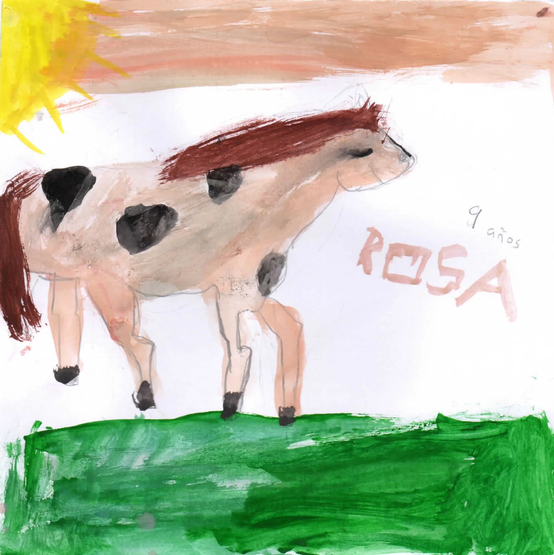 Rosa, 9.jpg