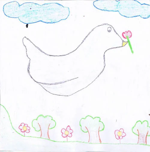 Maria Fernanda S.J., 11