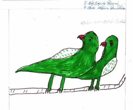Santhosh Kumar, 11