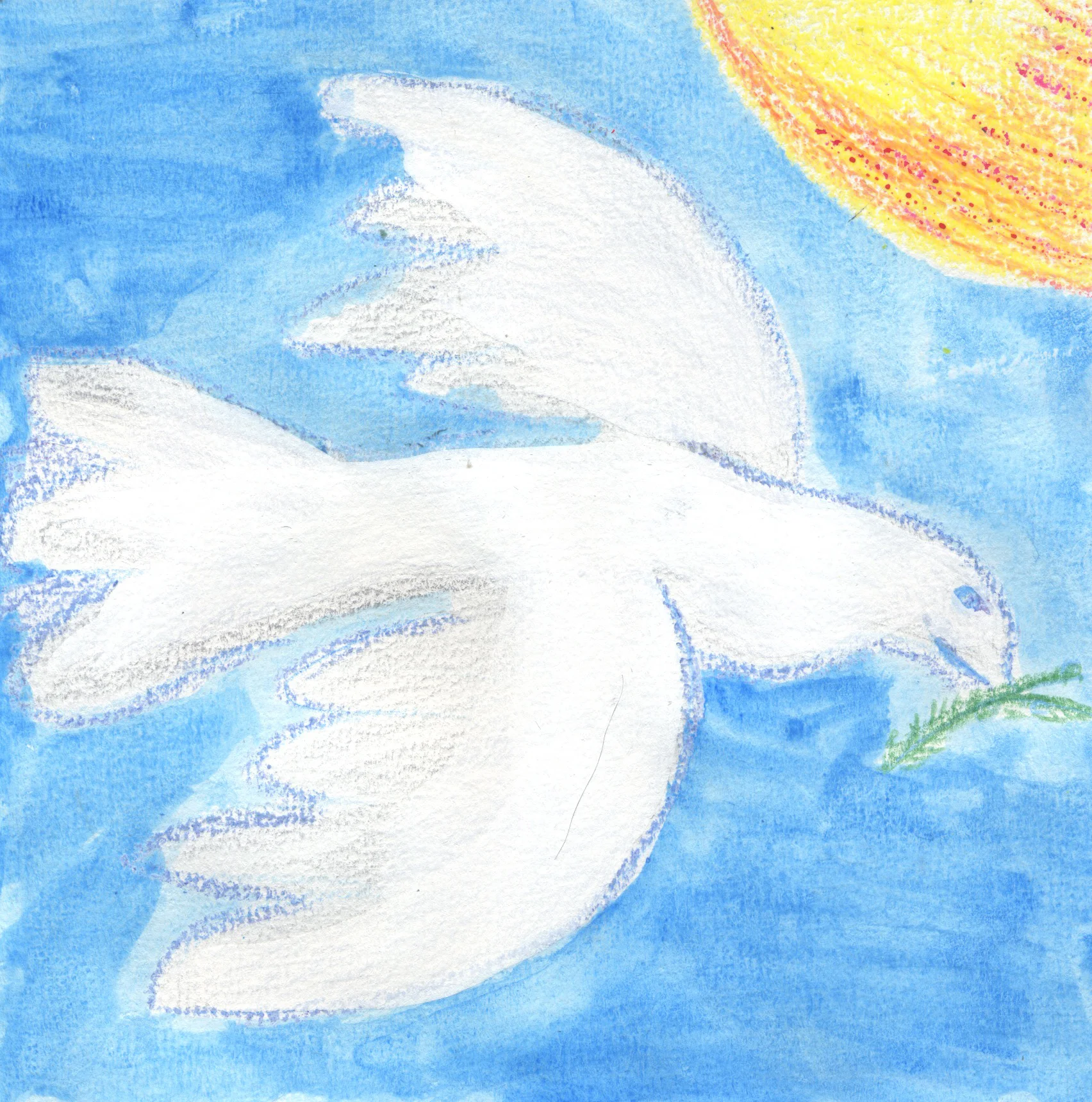 Barelli Ira, 13