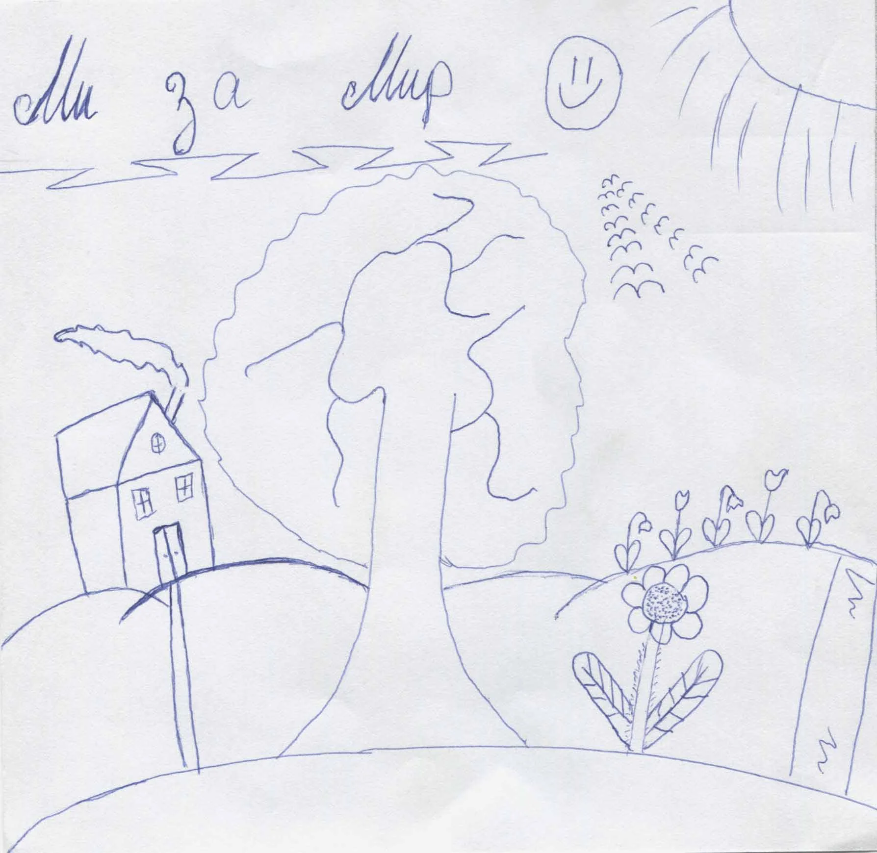 Anonymous, 14