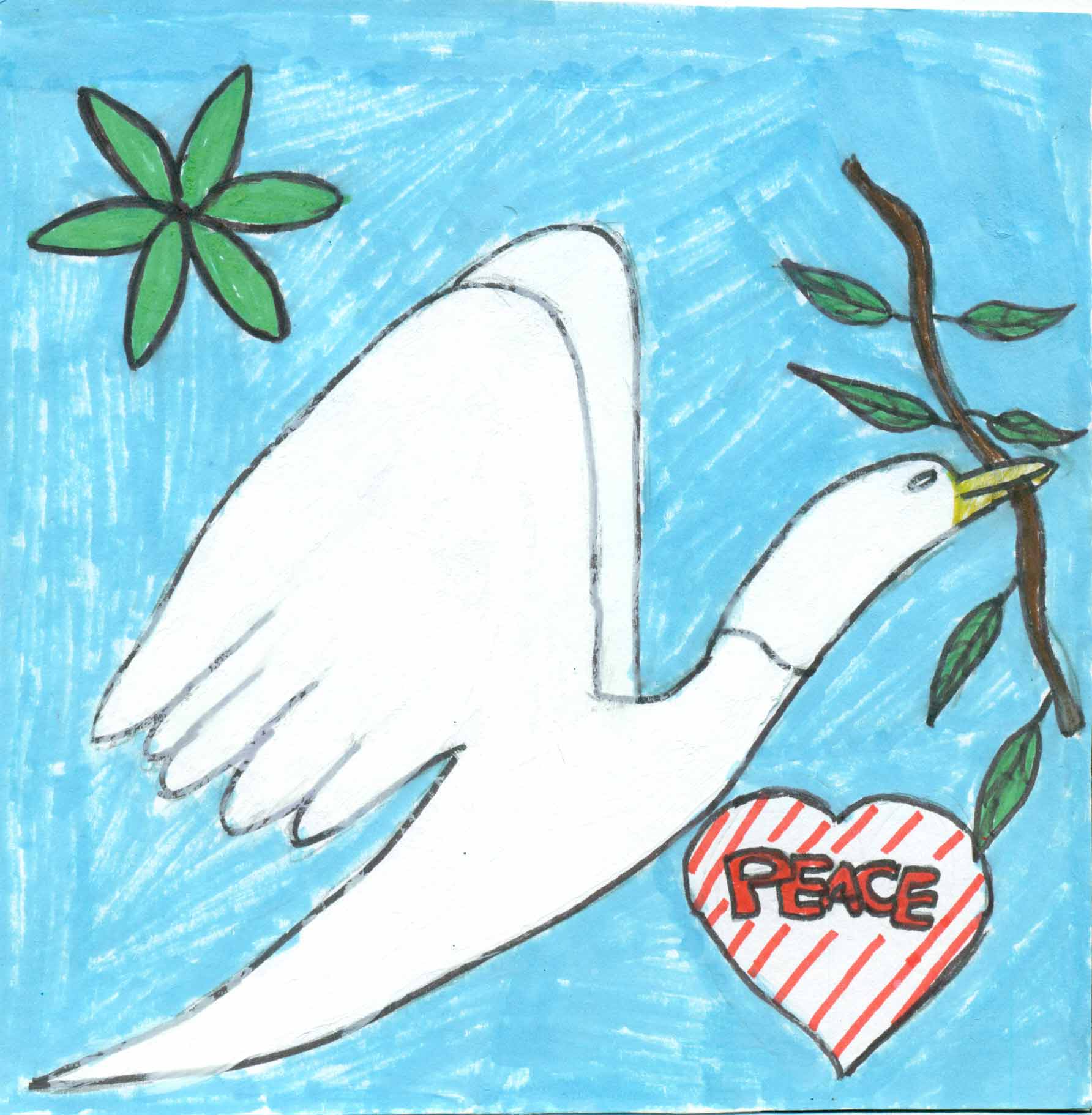 Dhia Eddine Laouitte, 12