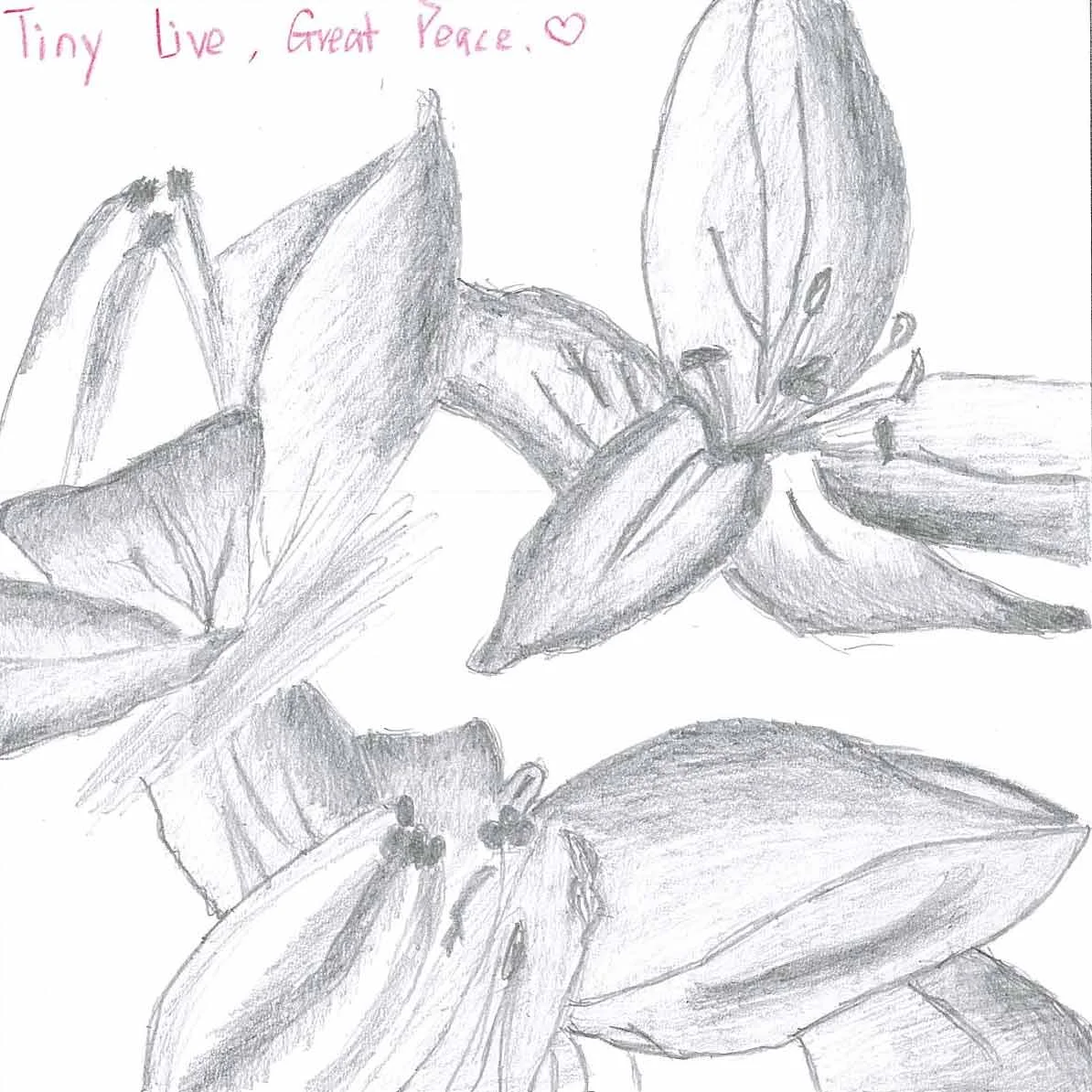 Fu Yao Ai, 16