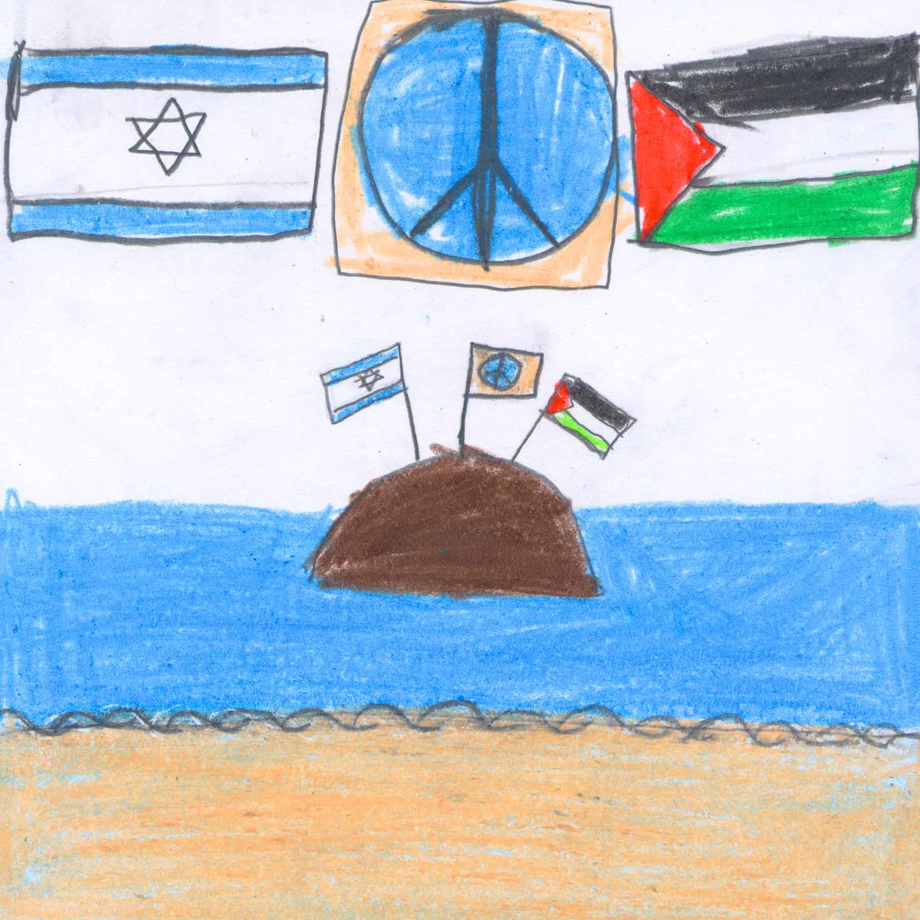 Mohammad Abu Shmes, 12