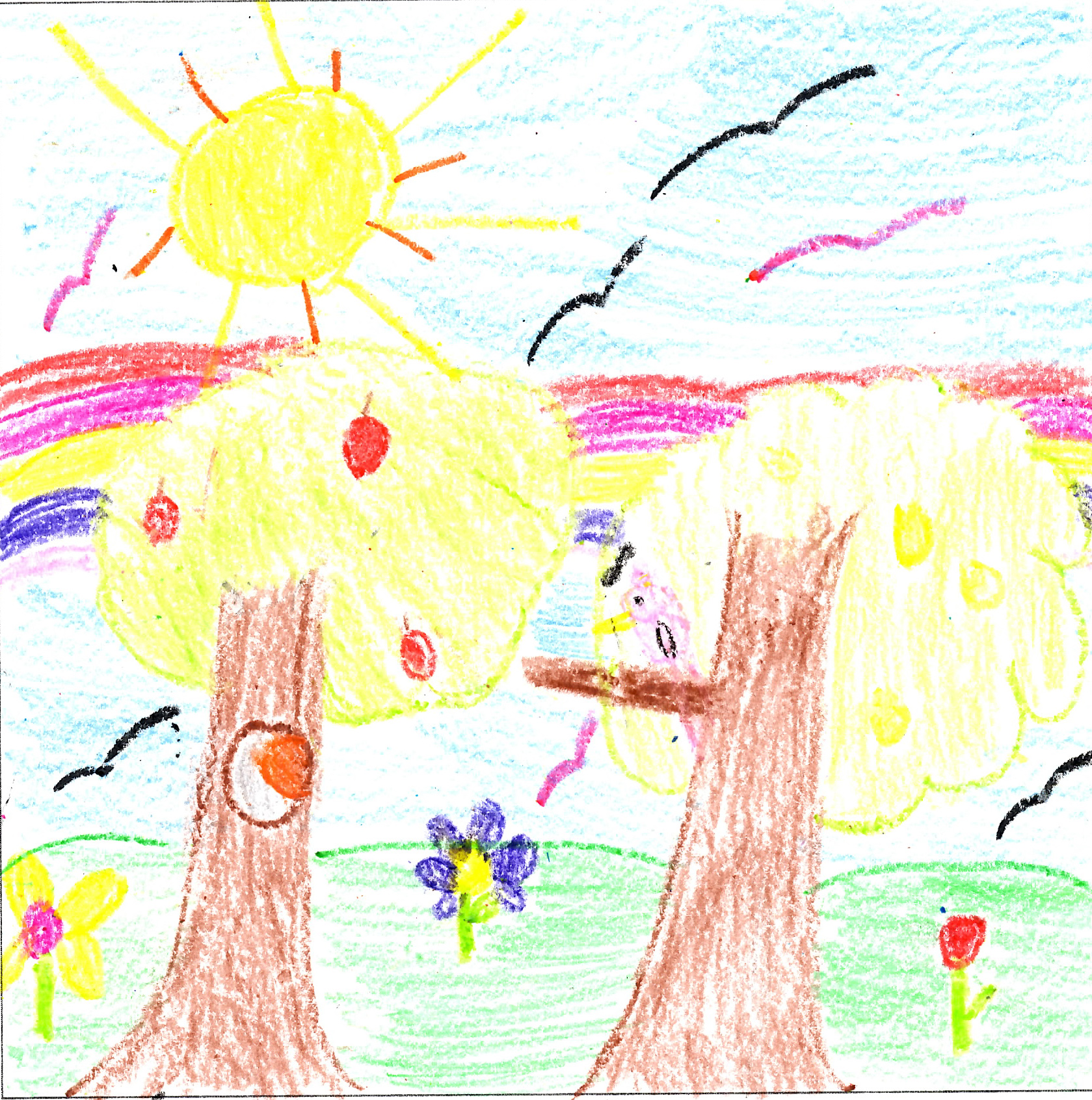 Nicoleta, 8