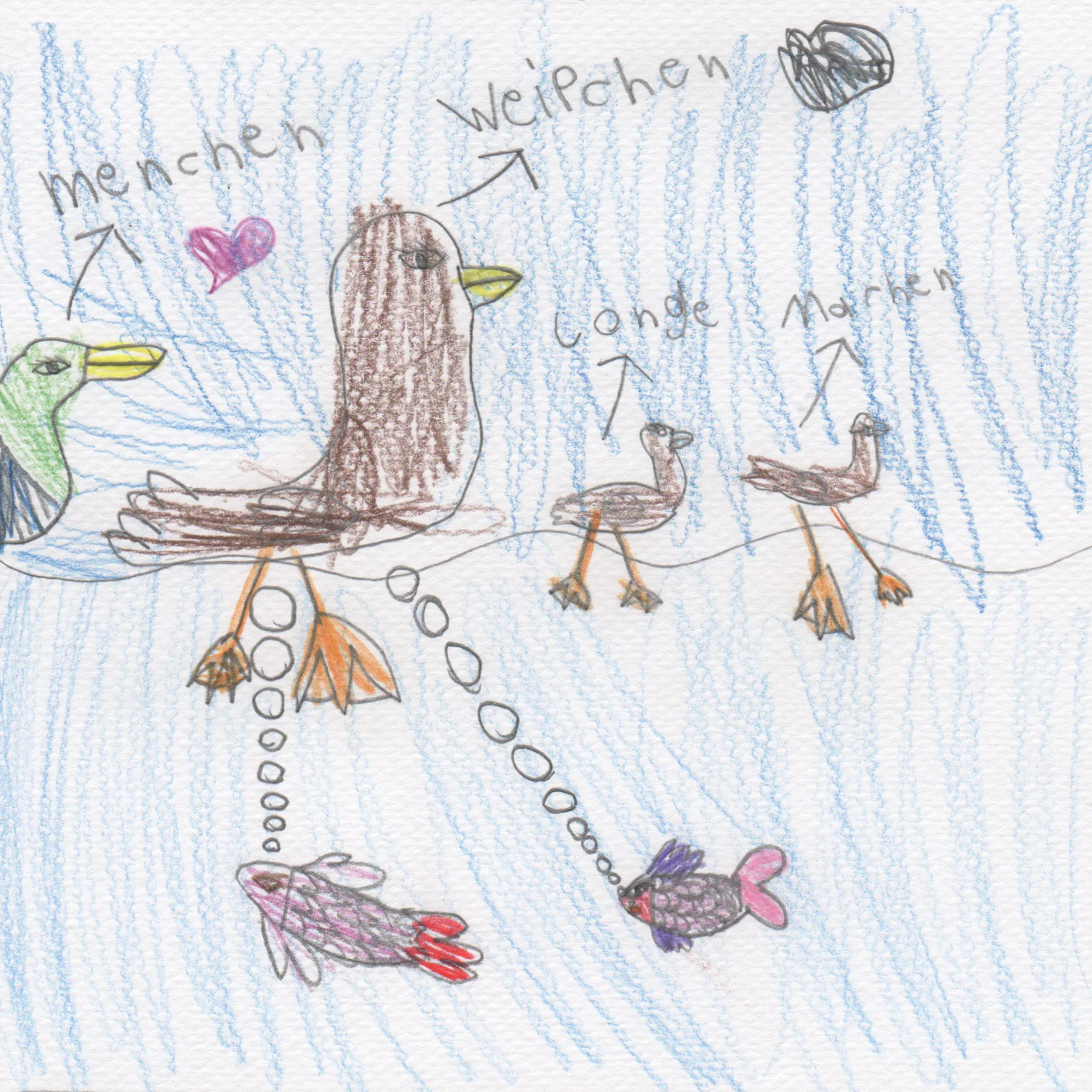 Frida Aceevez Vivanco, 7