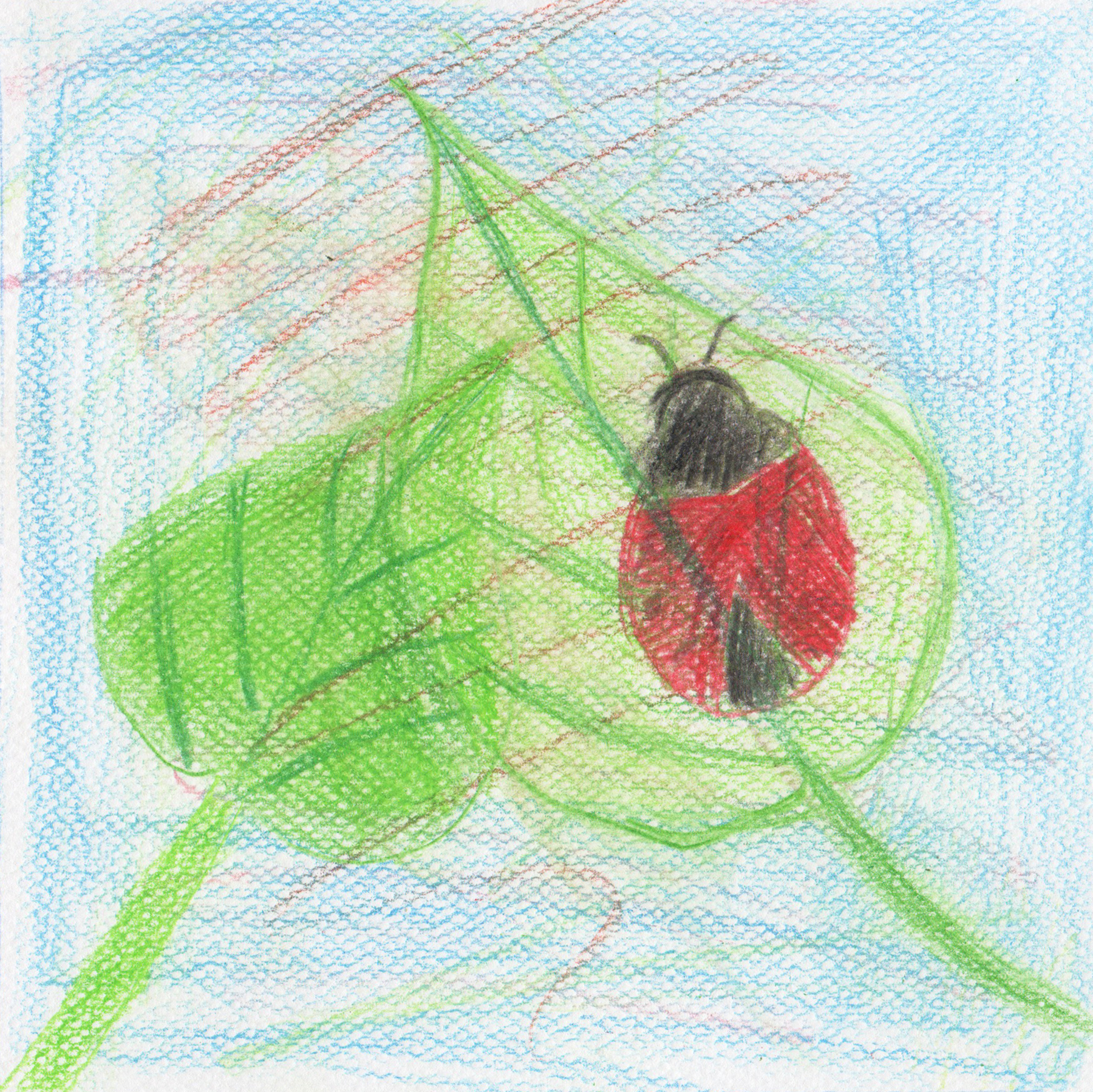 Mara, 9
