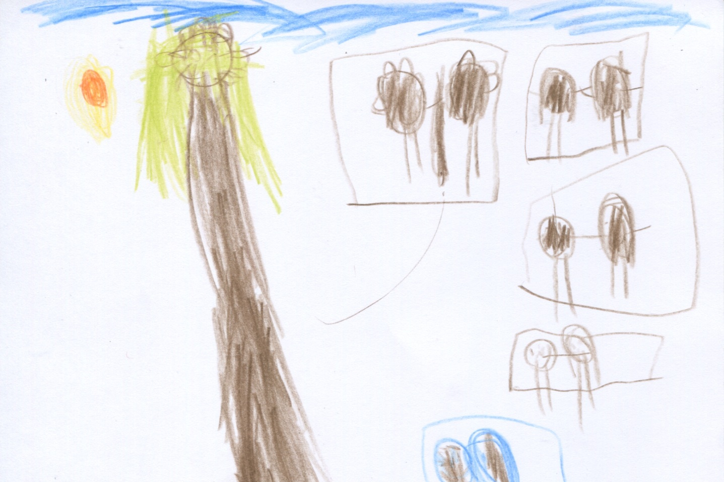 Joedane, 8 