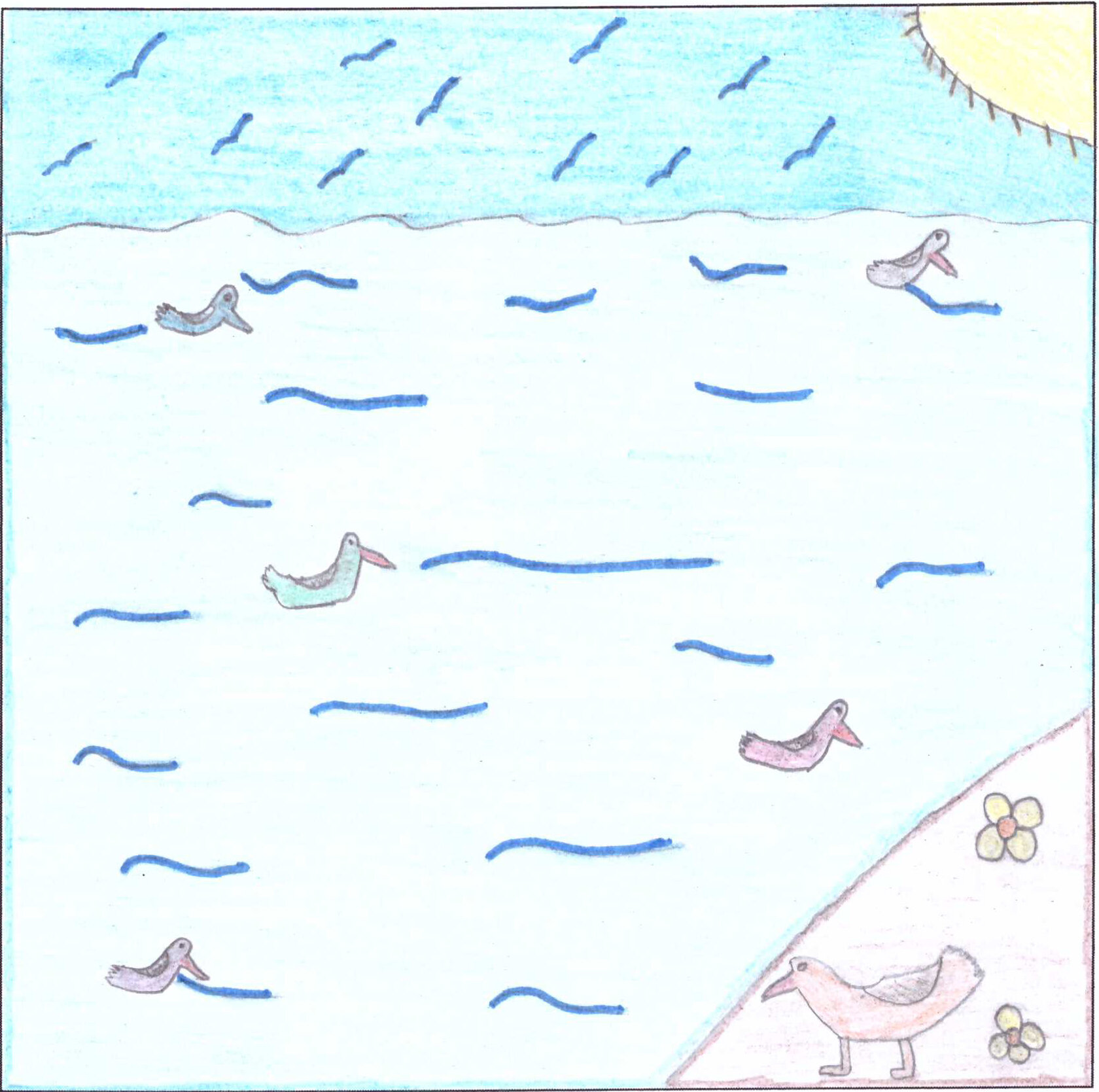 United Through Sport, Port Elizabeth — CITYarts