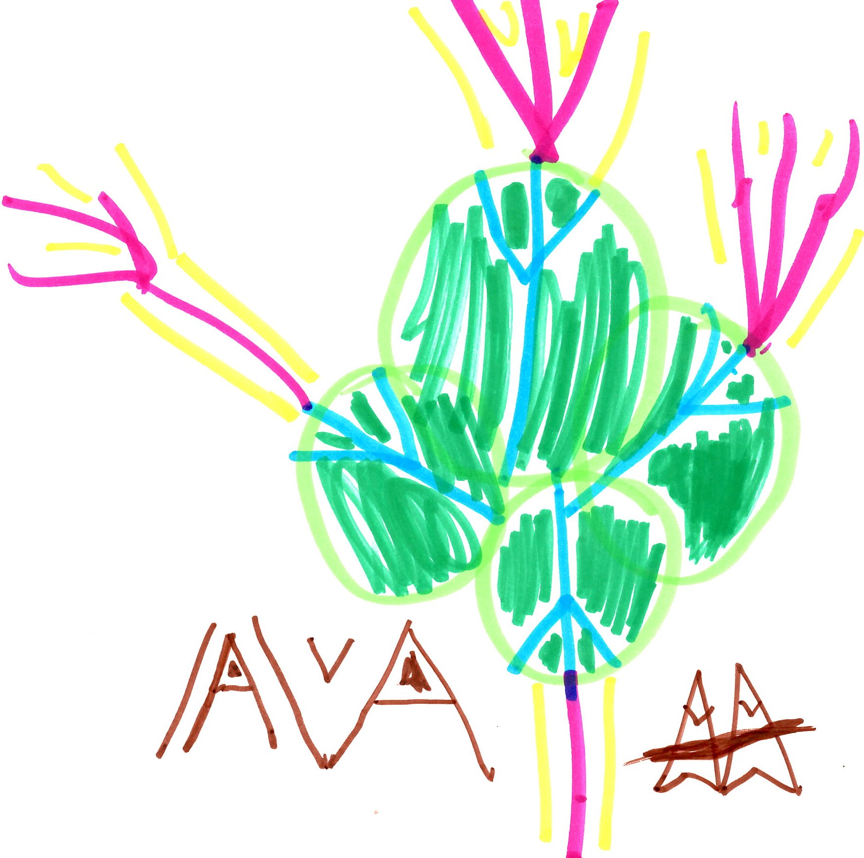 Ava-6.jpg