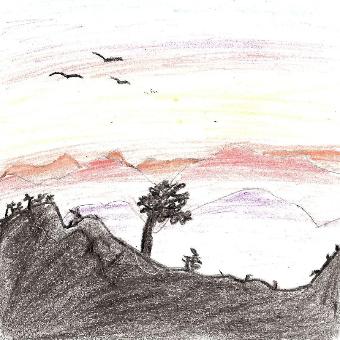Zolchi T, 14