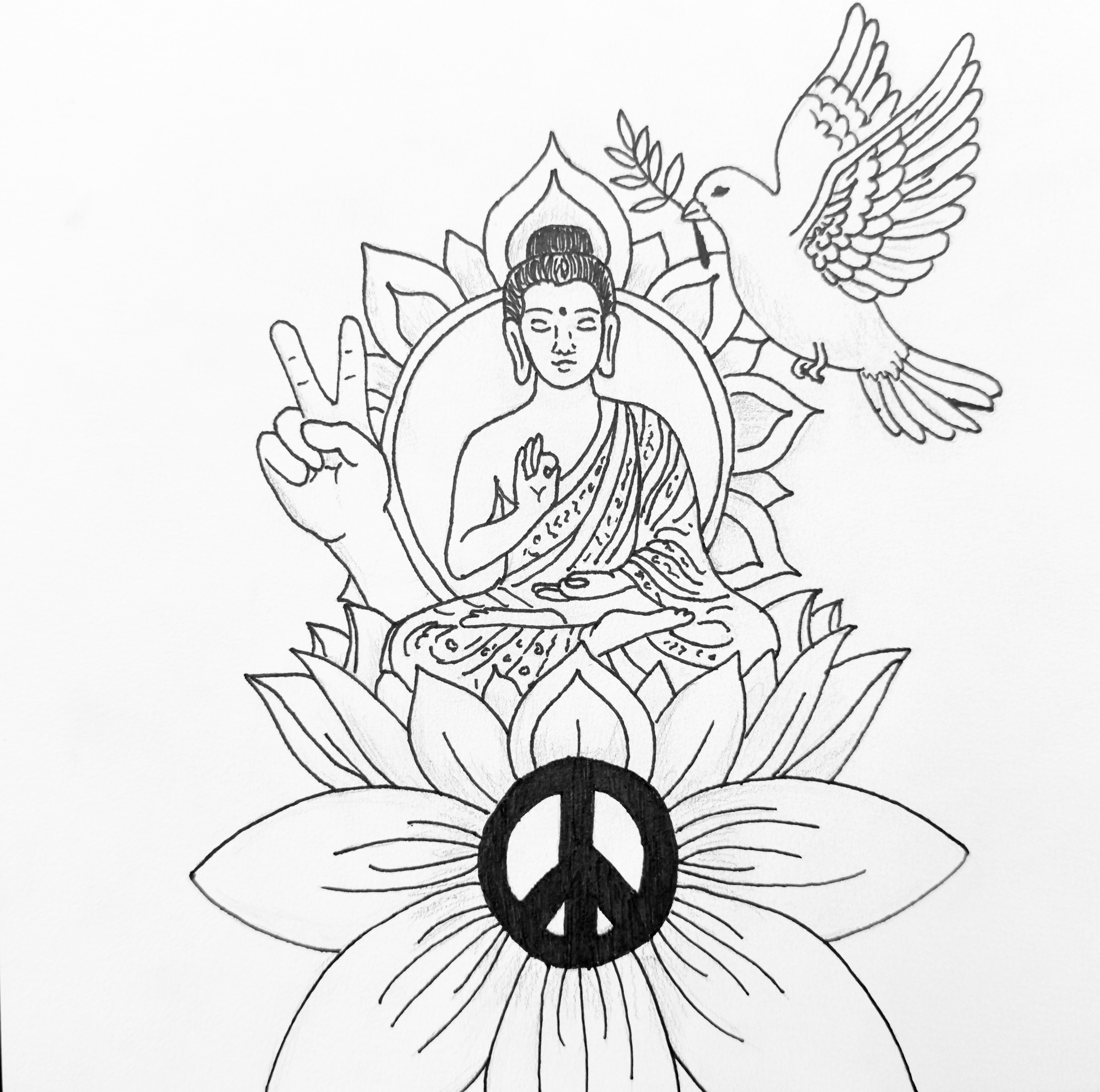 IMG_1464.png