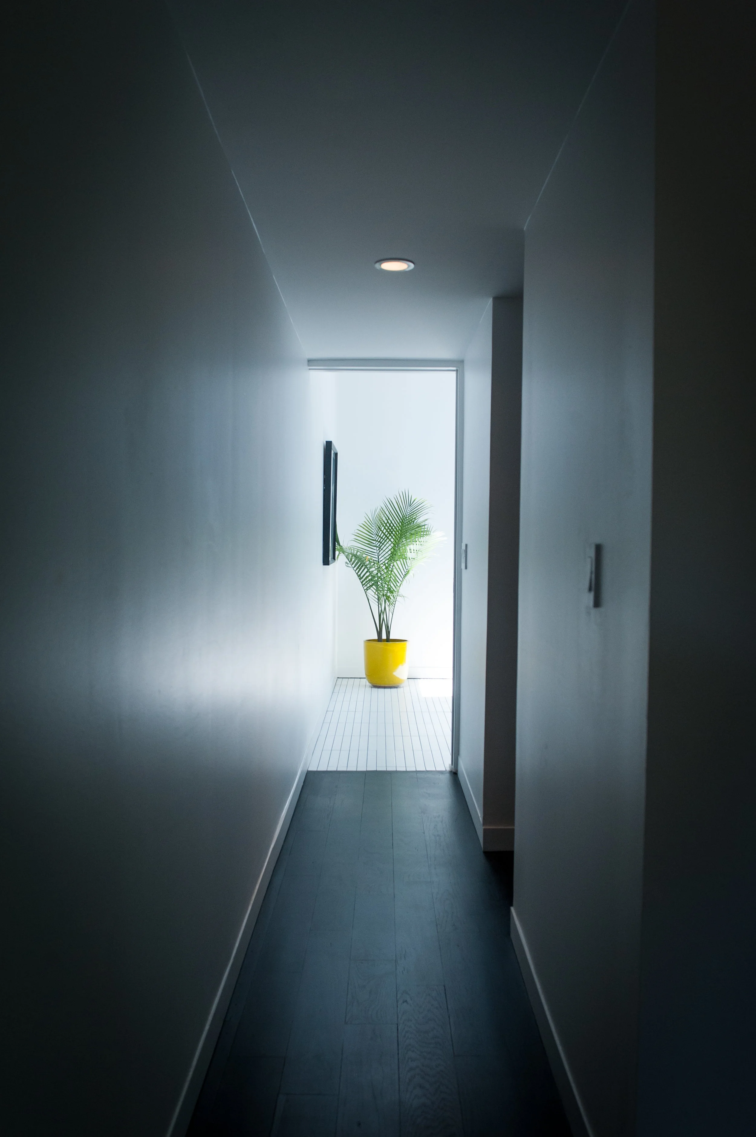 504 Cordell-37.jpg