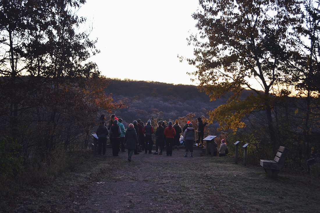 BorealBlissFall576 copy (1).jpg