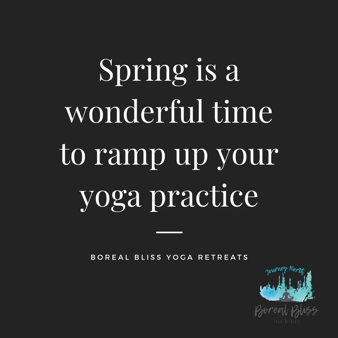 3 ways to Embrace Kapha!-3.jpg