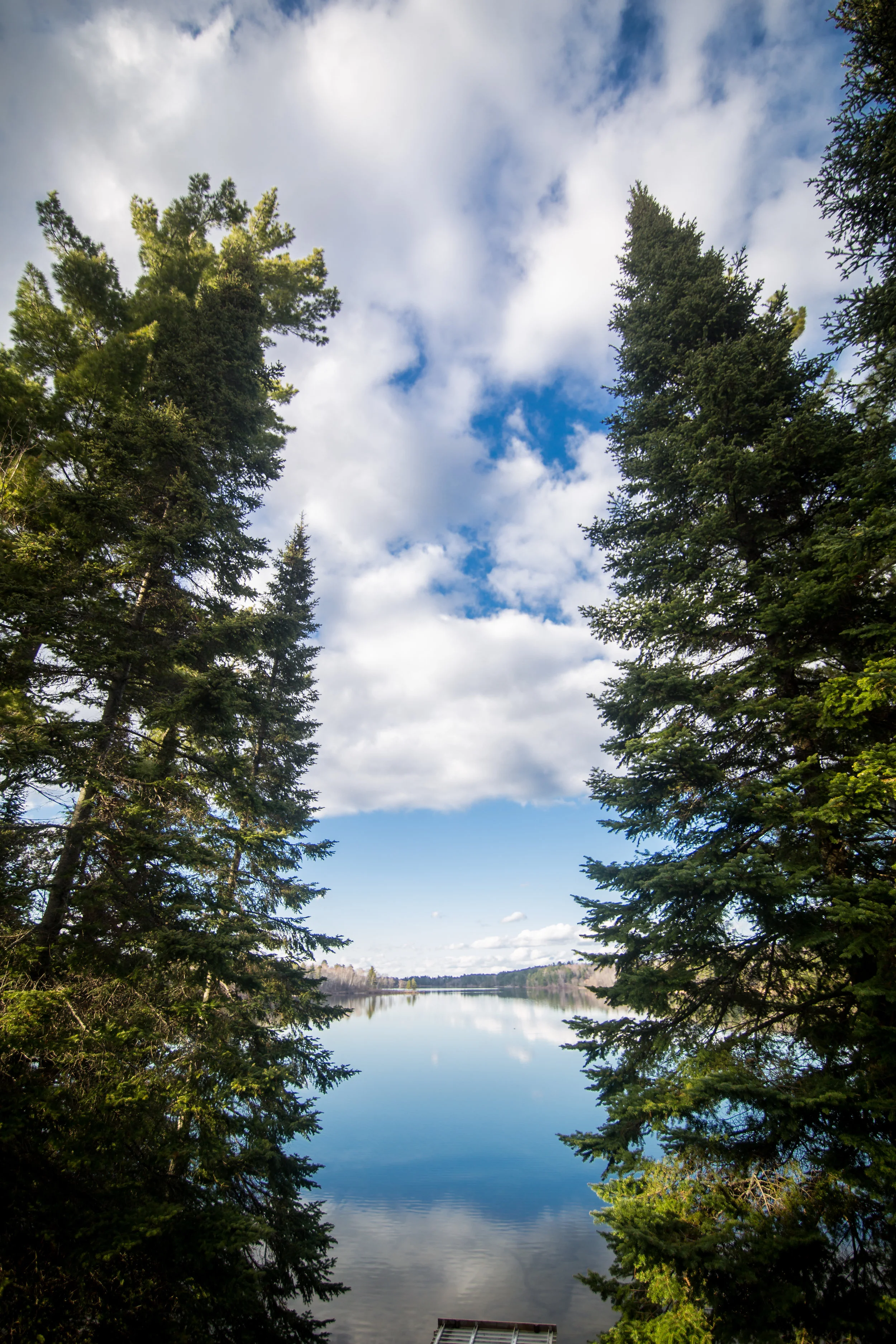Camp Bliss Overlook