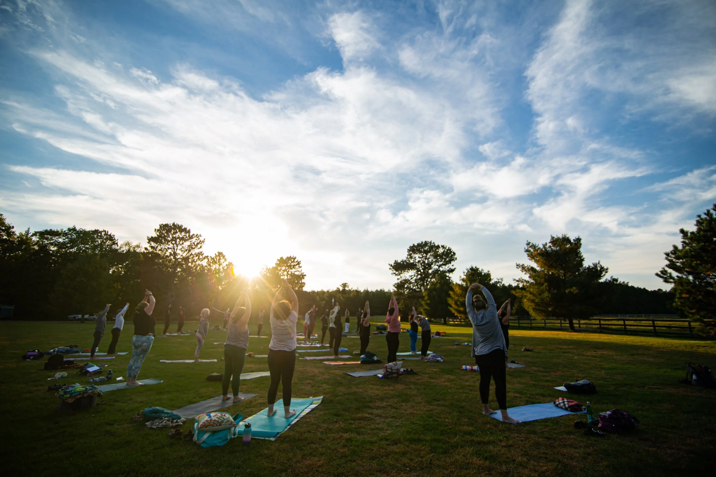 September Yoga Retreat at Camp Olson in Longville, MN — Boreal Bliss Yoga Retreats