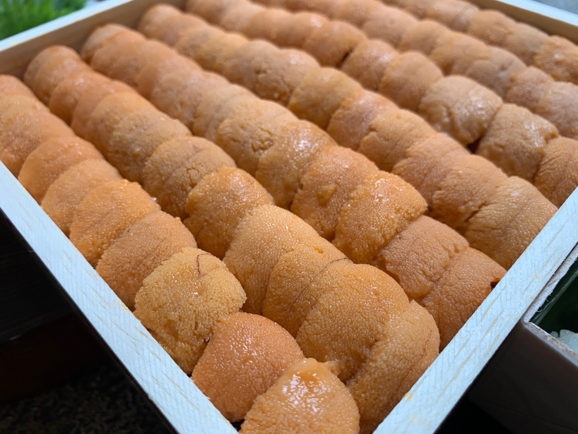 Uni Handroll Kit (Copy)