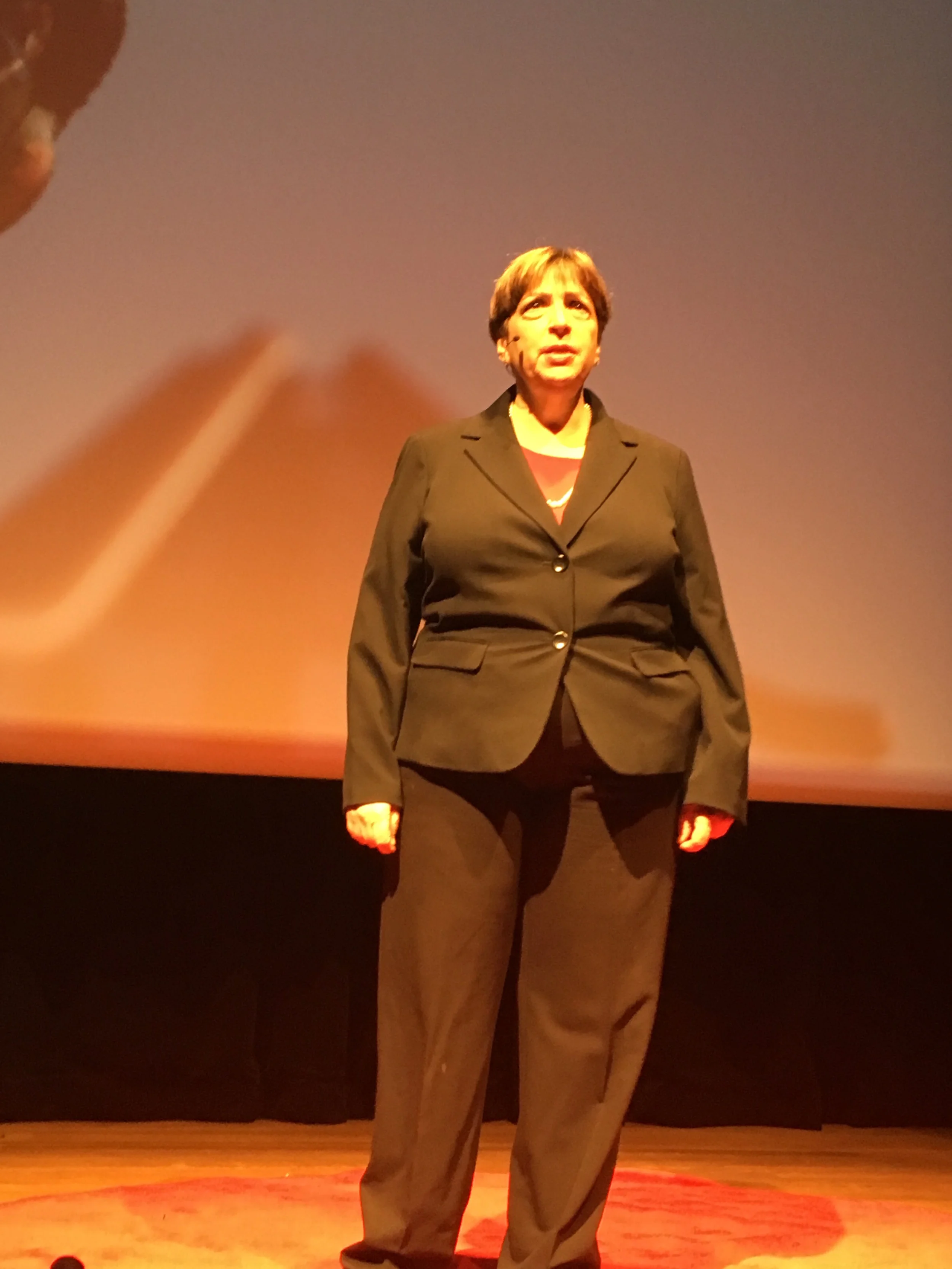 On May 6,2017, Diane gave aTedX talk at the University of Chicago on the topic "When Can Parents Let Children be Alone." You can watch her talk  here . Press  Diane  for her full biography from the talk.
