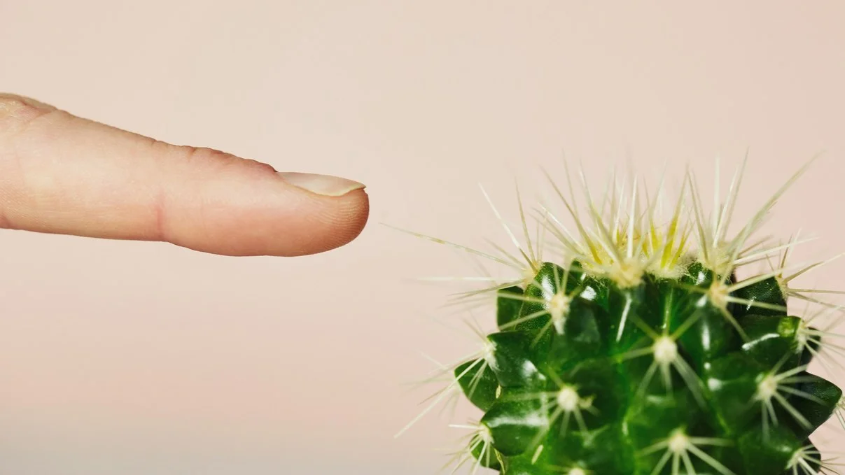 microneedling-cactus.jpg