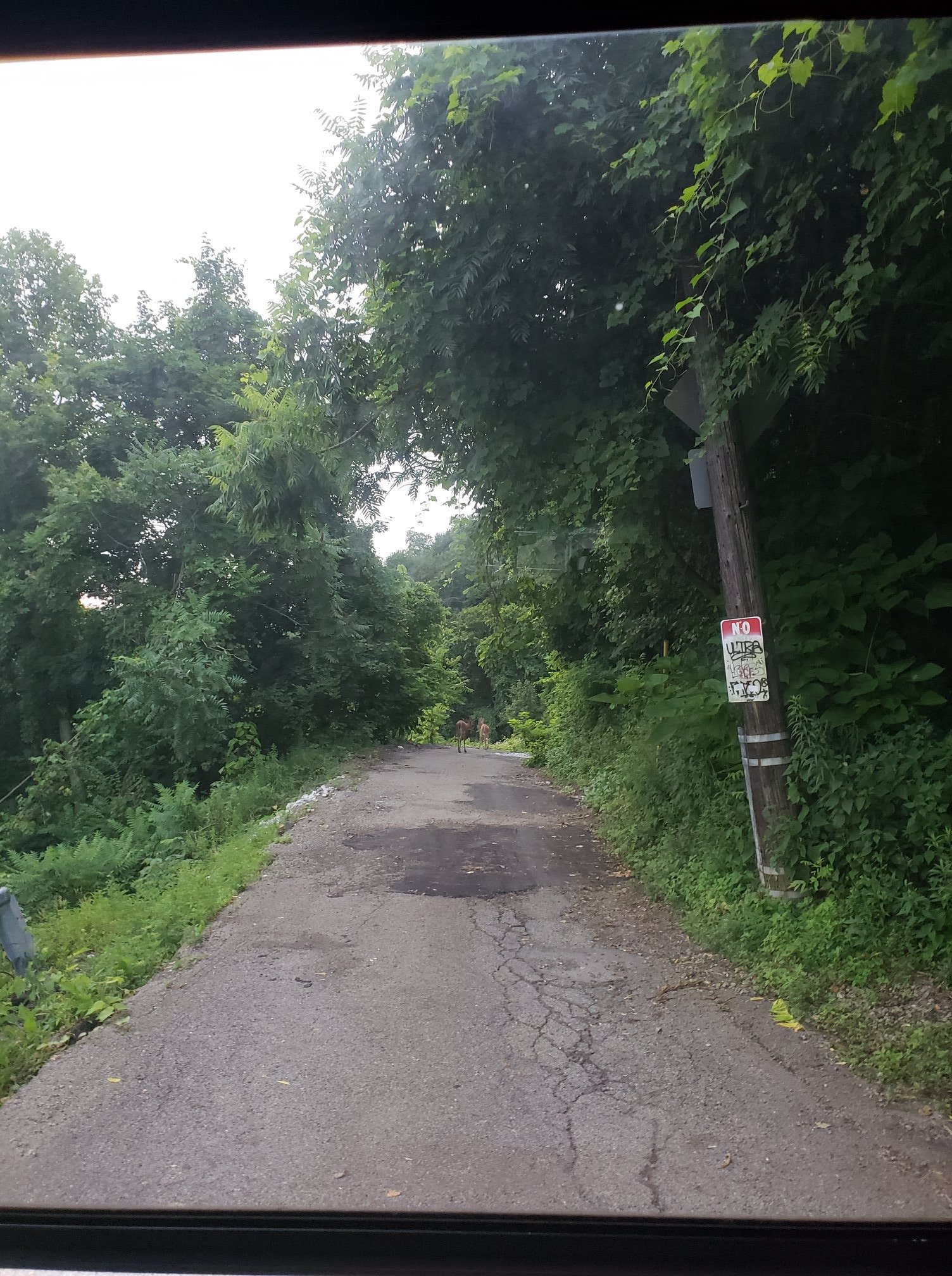 road.jpeg