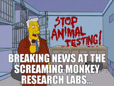 NYT Just Defended Animal Torture Because Trump Opposed It