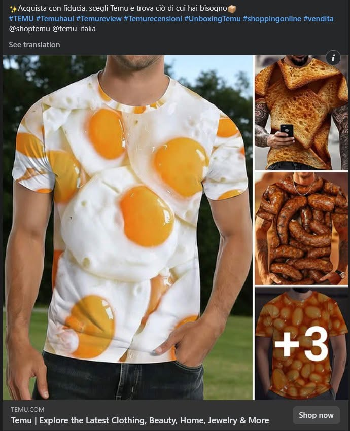 temu9.png