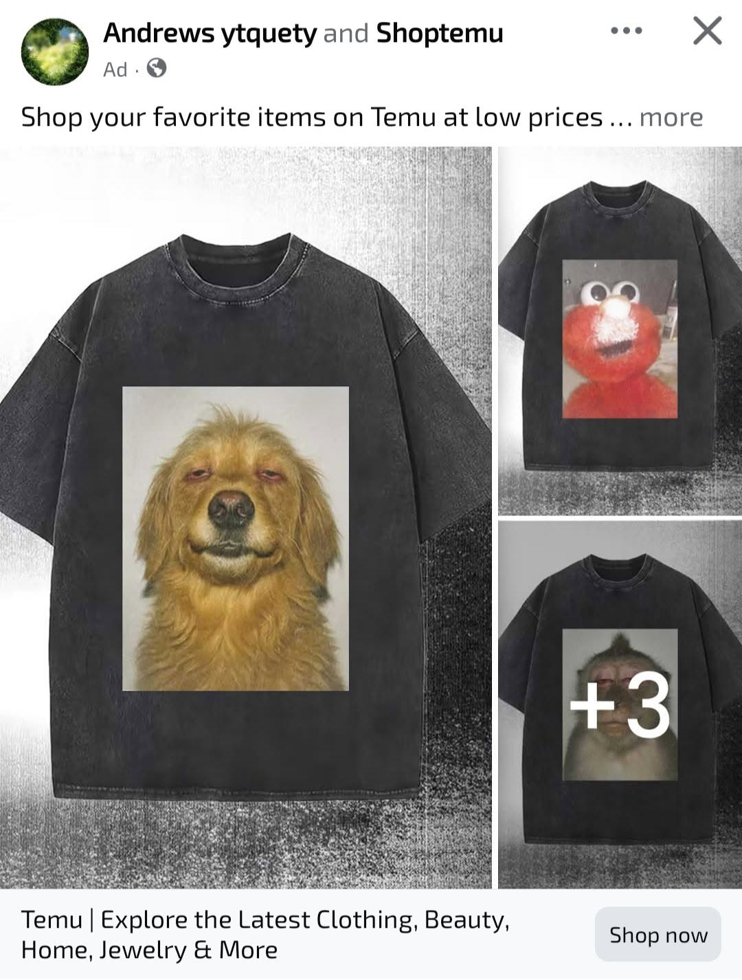 temu10.png