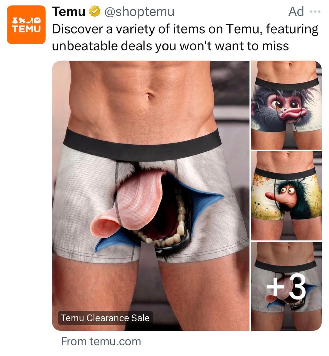 temu18.png