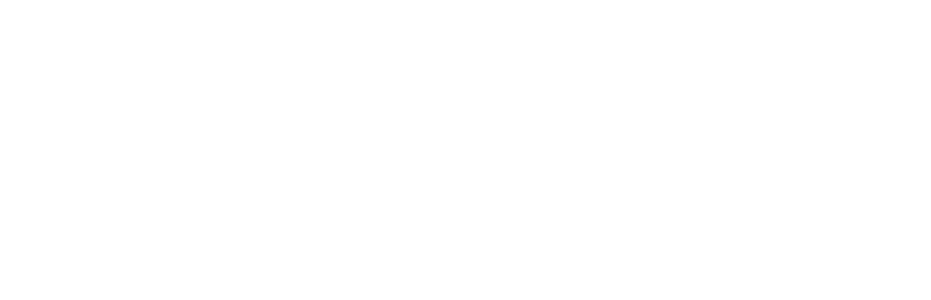 ZEBRA_BIELA (2).png