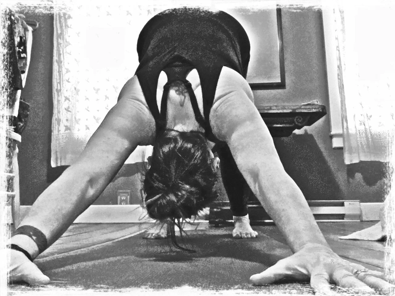 Yoga Balls &amp; Downward Dog Clinic