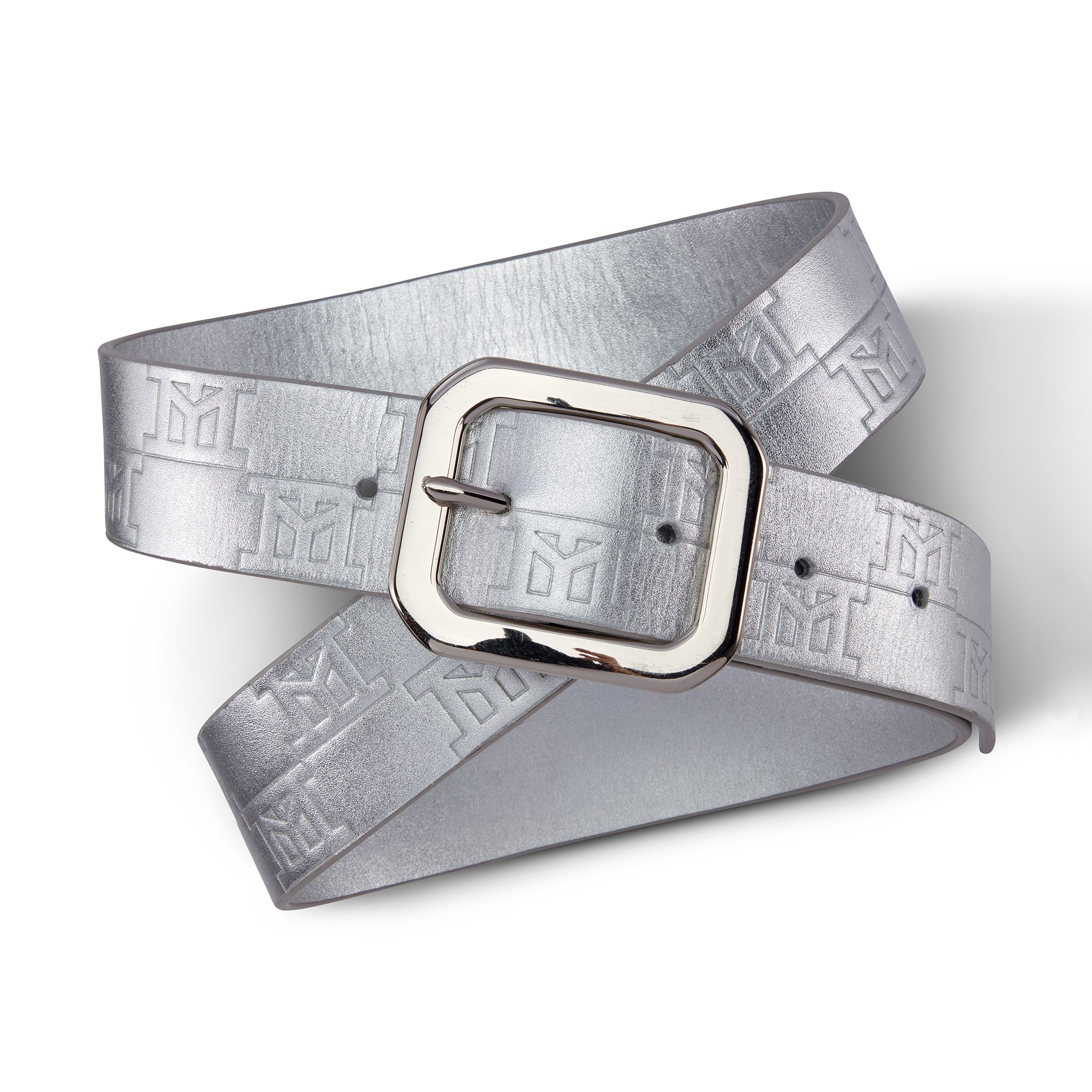 07 LogoBelt-Lidia May-Coiled close up-Silver 16.jpg
