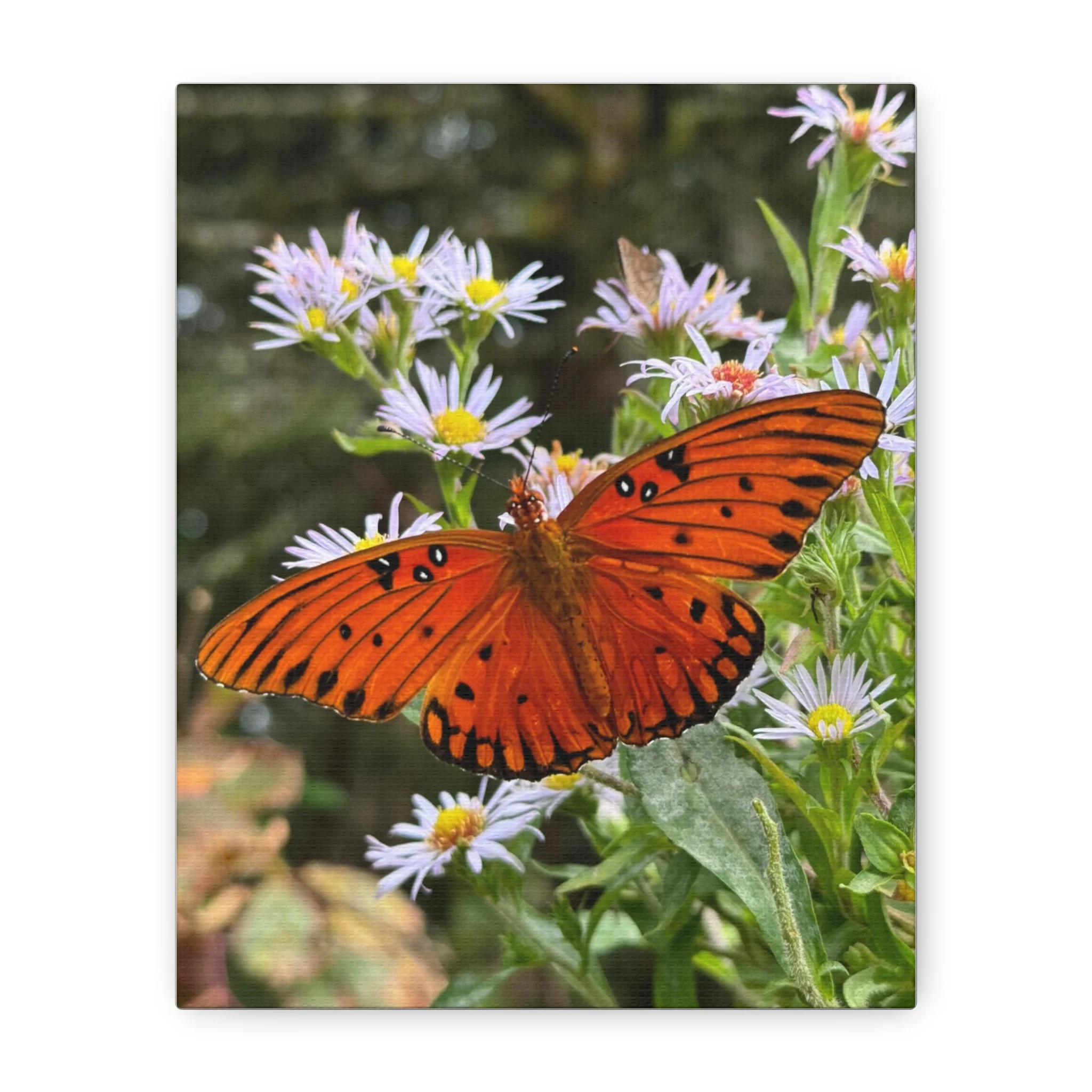 c0538b97c17008b9544e02ccdd8f2c30