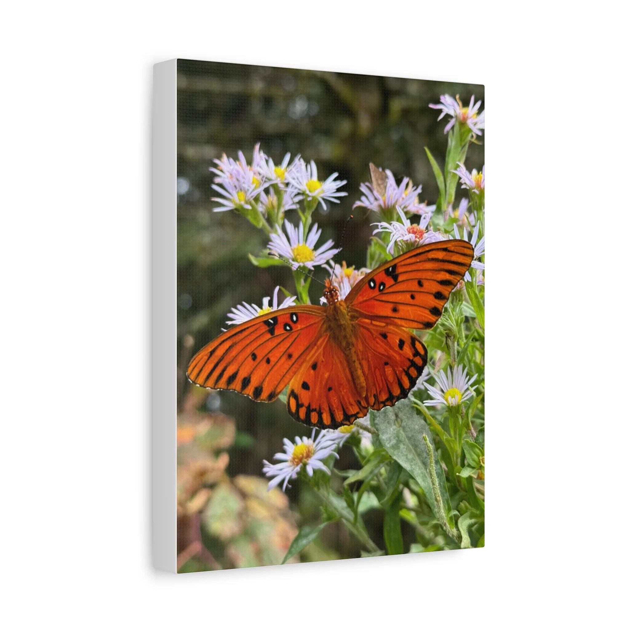 ace120847357fadc0c80f0f26fe08572