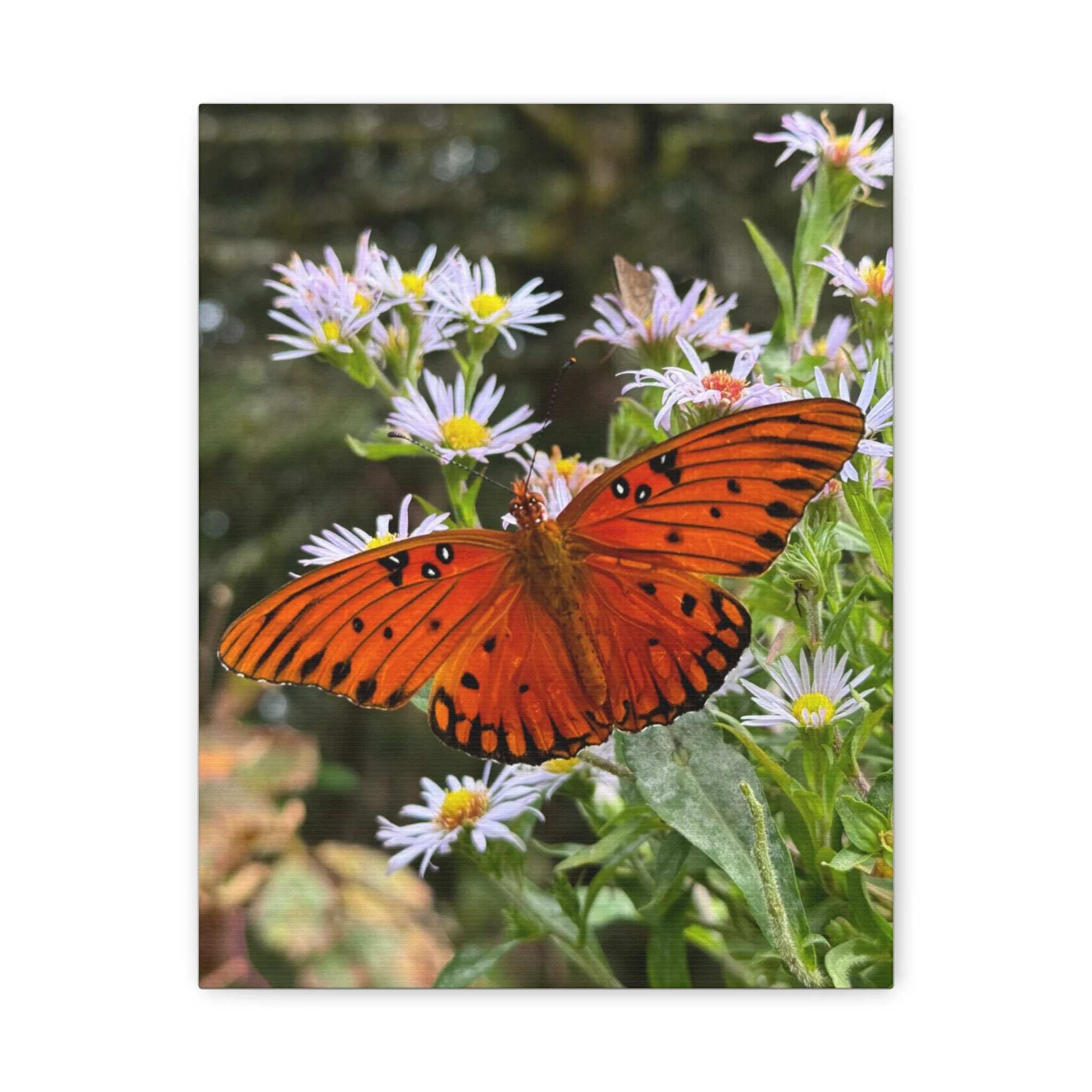 1b2d1057e7052940cc2a64f361e658fe