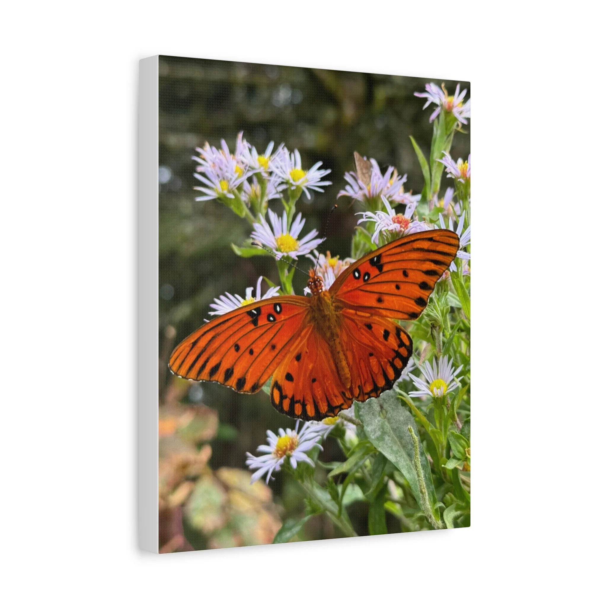 5a3b7cd2c2eedaa9dad5255d35416b65