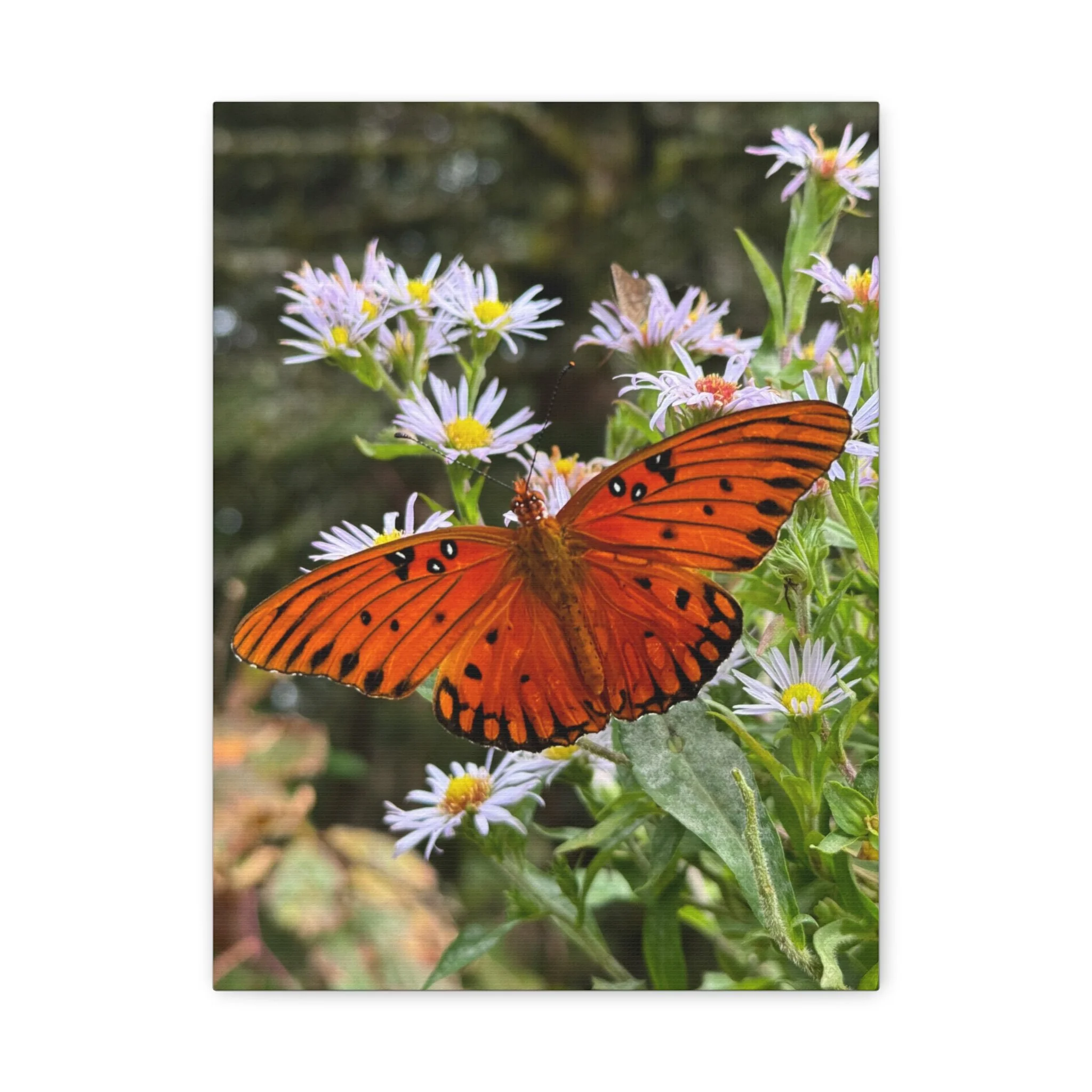 ecf3393577e2689c693946cd0a474b88