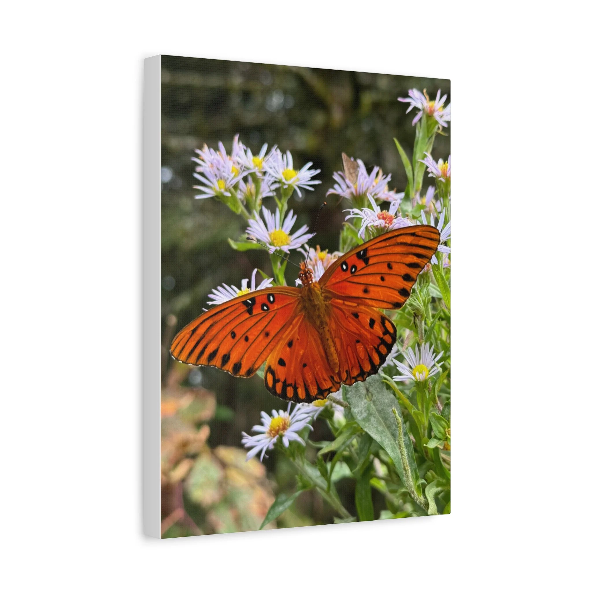 7fe109ffa52e7dad40a476932e2355b9