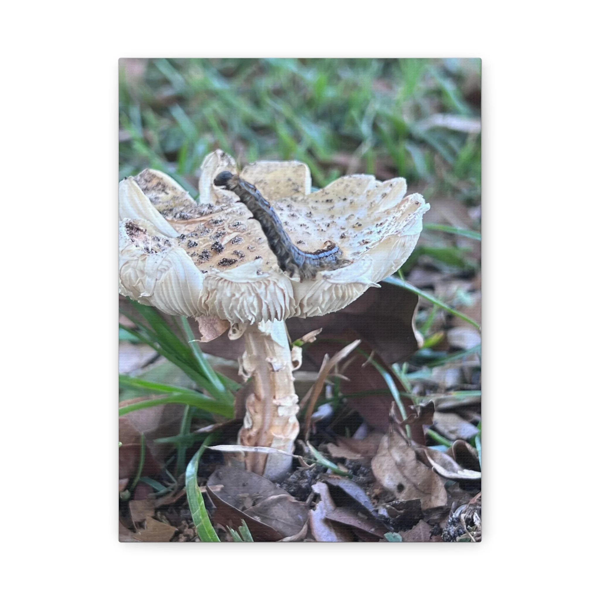 d98abbf2ab51bfed50bdf51492c20067