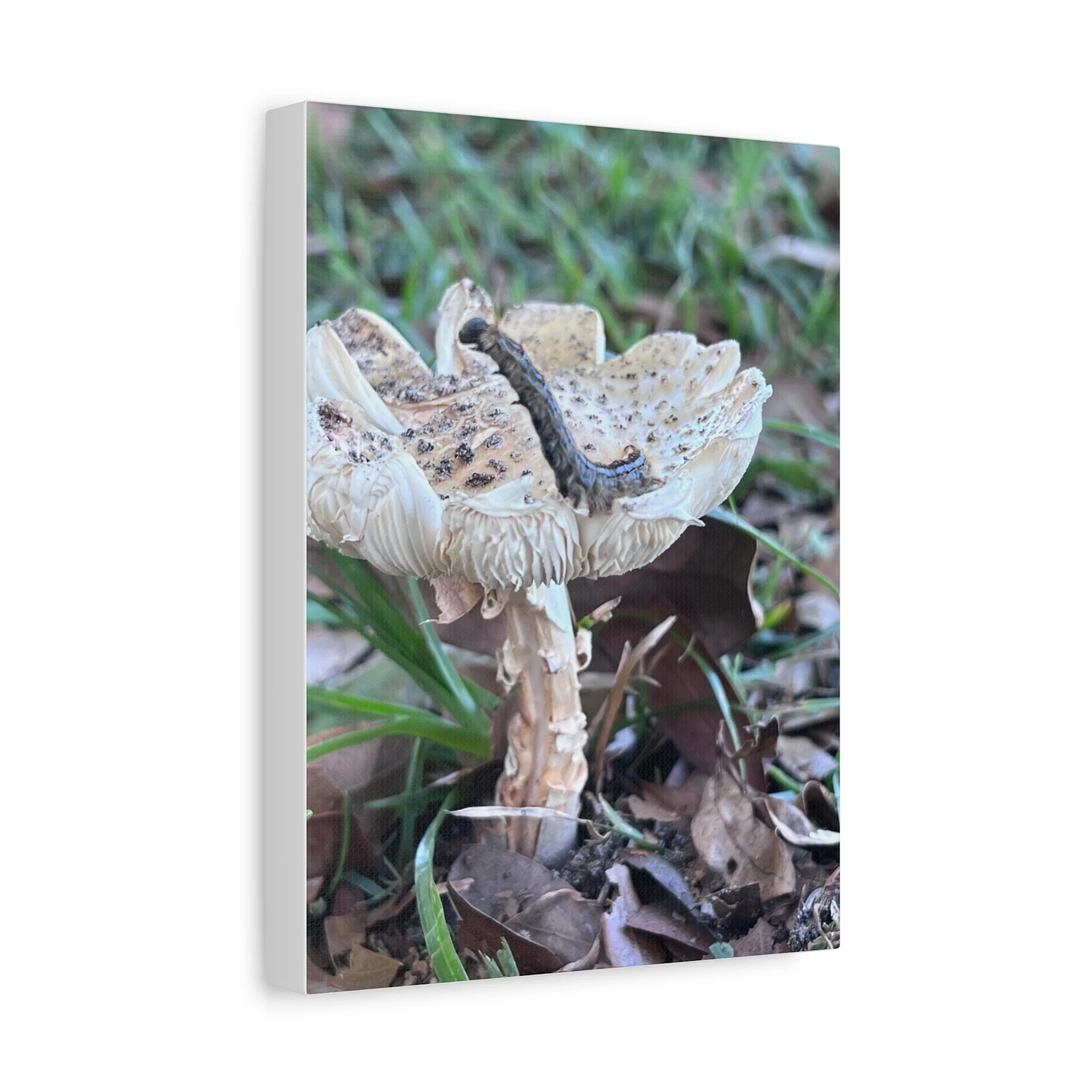 5b20e0d36a87b0ef0dc804db60fa8ba0