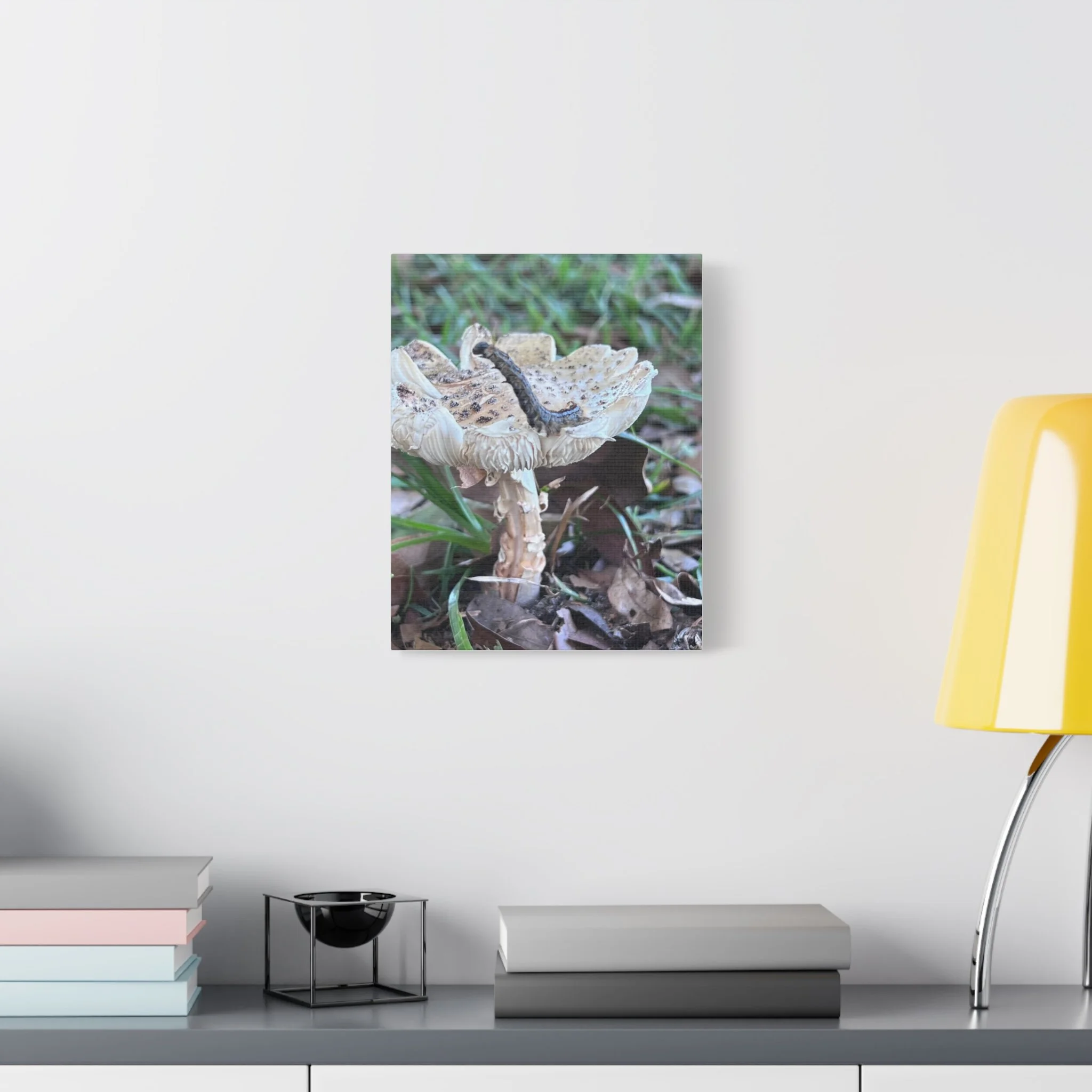 168a9b97a43ae6b6b903ee5e102831cf