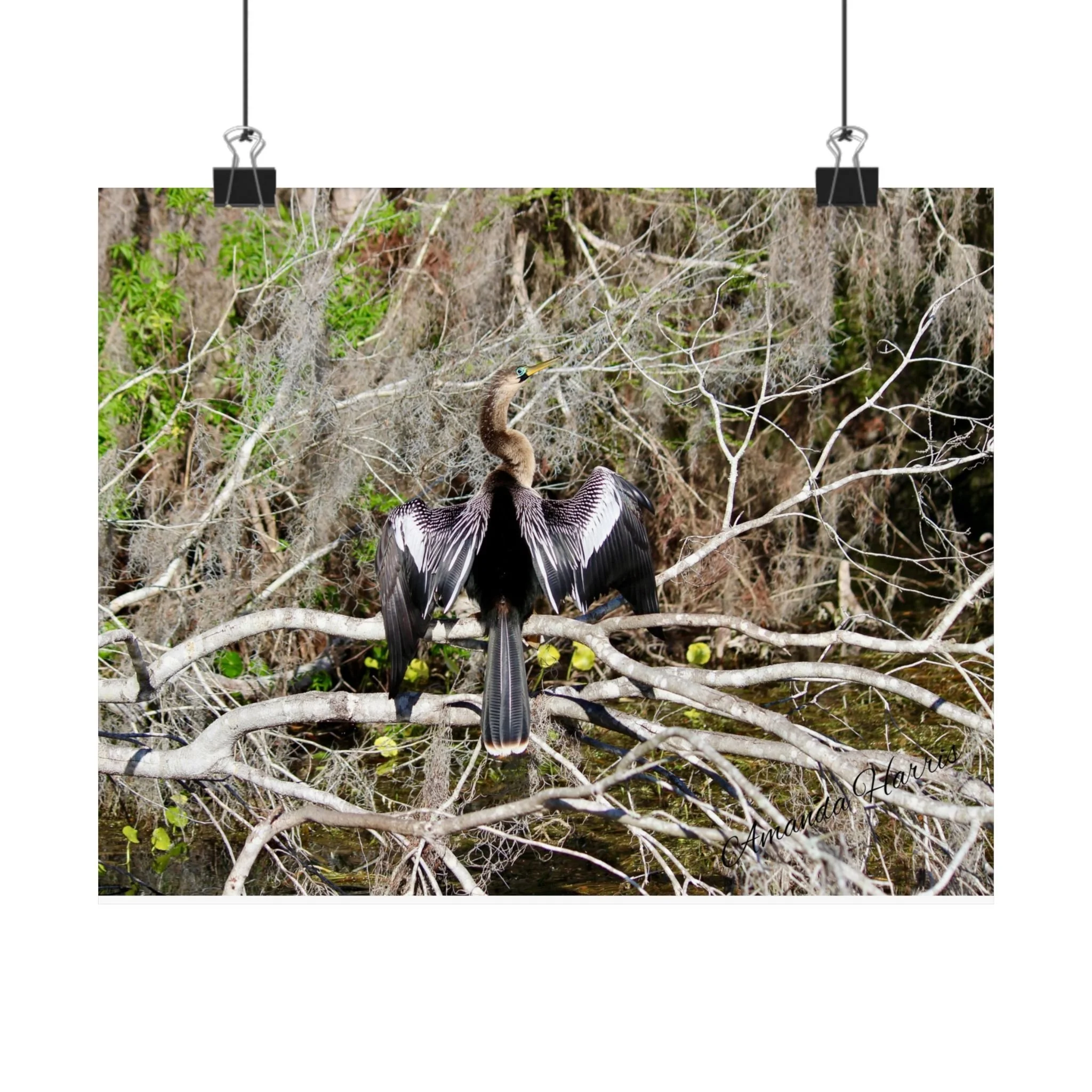 a42057f532675bb76ee86f74bb1d961c