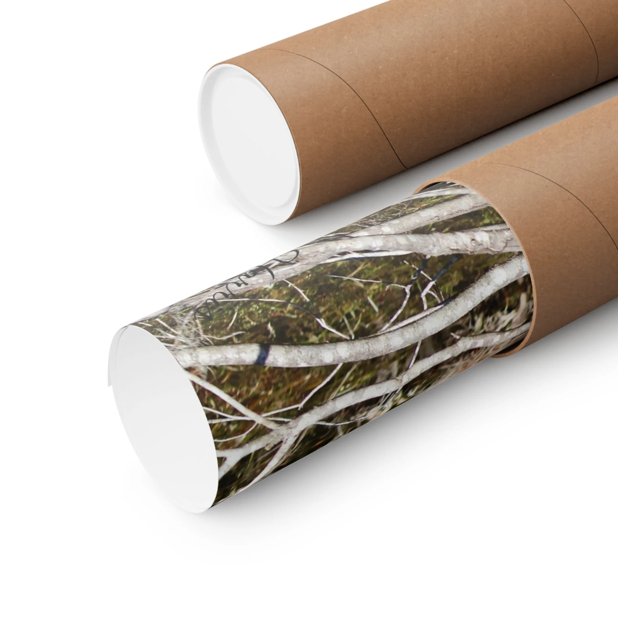 975962ea40eec77ec1a564d9f152fe4a