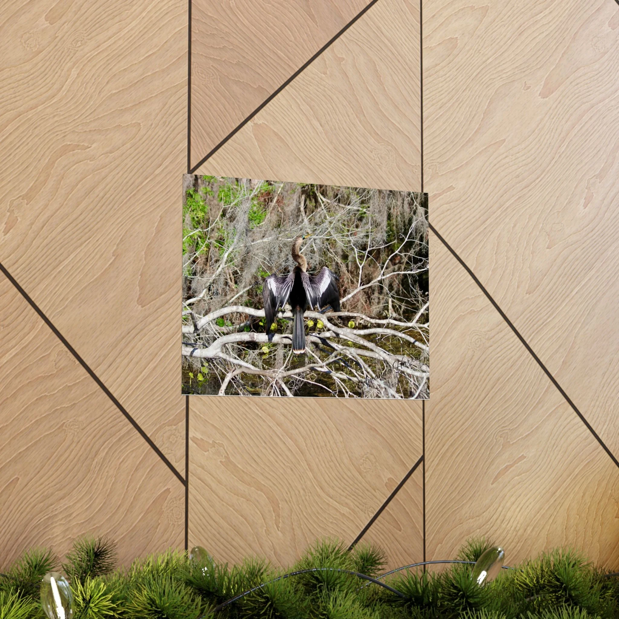 8daf5d6eb8e2af5c3dd1ca4ad00b4bd4